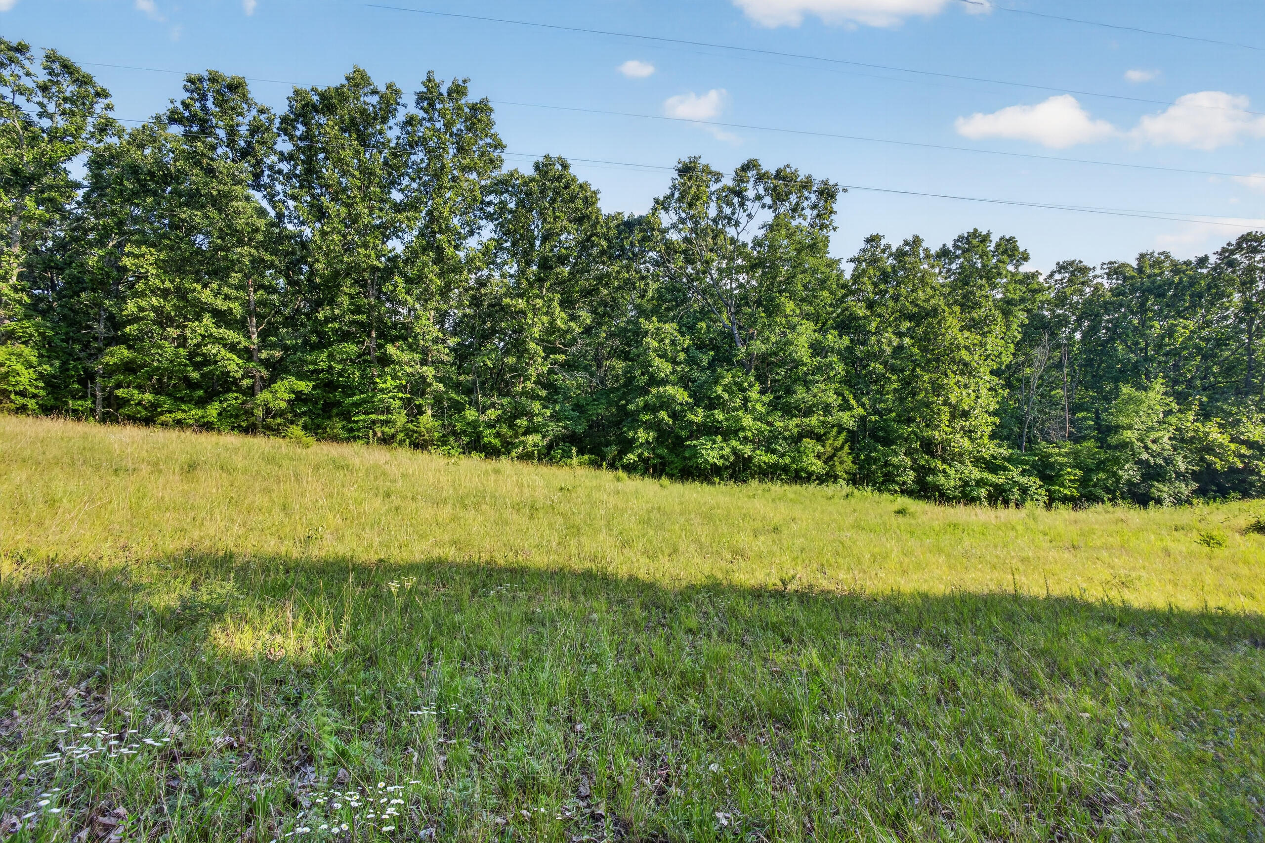 005 Cantrell Road Property Photo 12