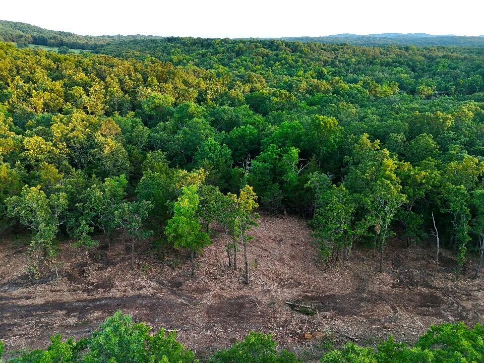 005 Cantrell Road Property Photo 15