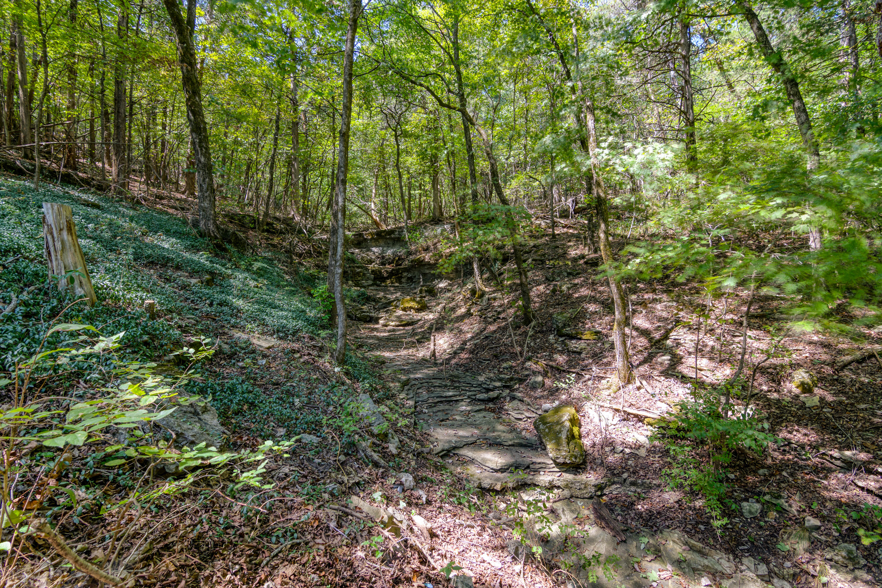 211 River Bend Road Property Photo 31