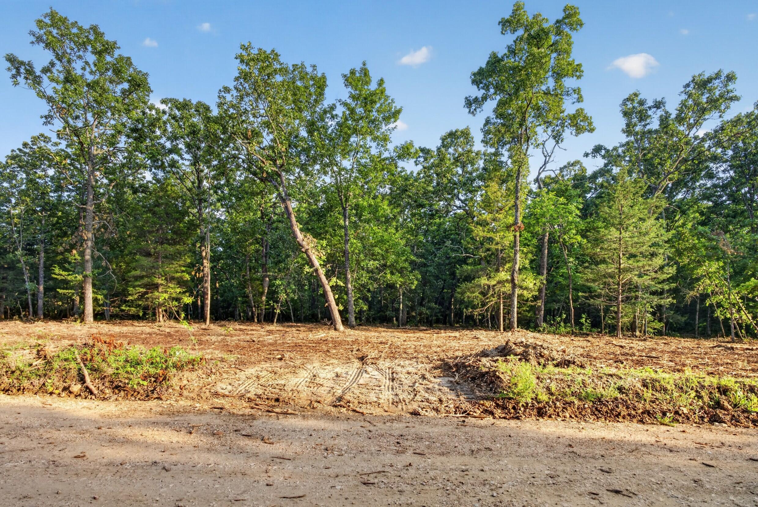 004 Cantrell Road Property Photo 3