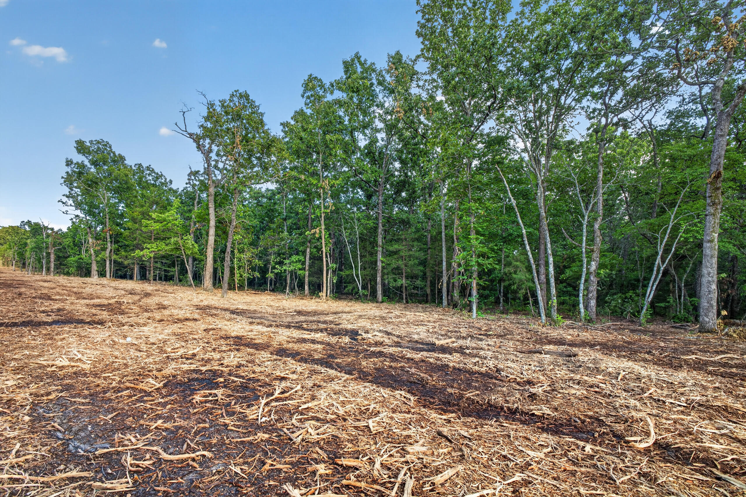 004 Cantrell Road Property Photo 4