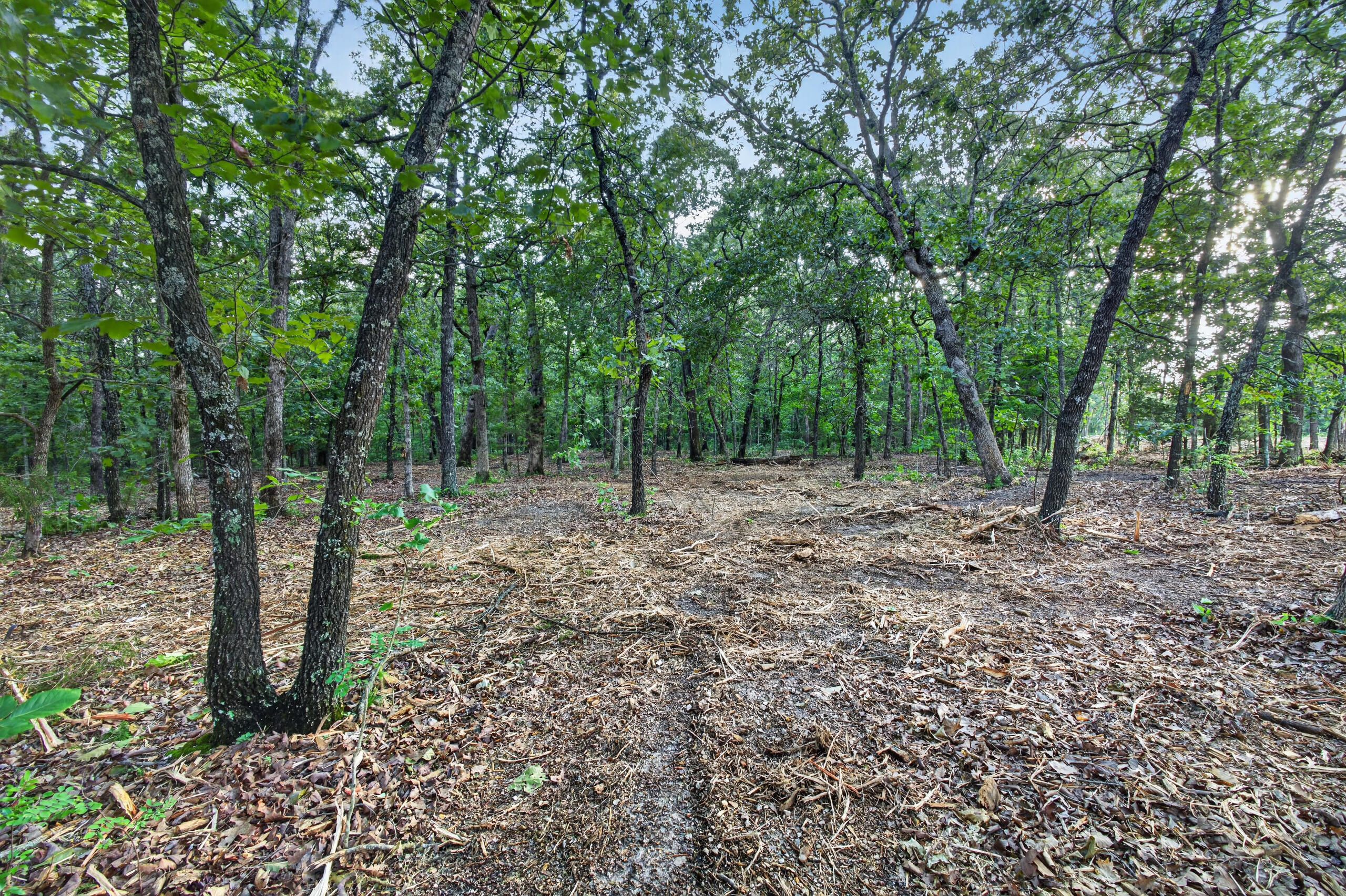 004 Cantrell Road Property Photo 6