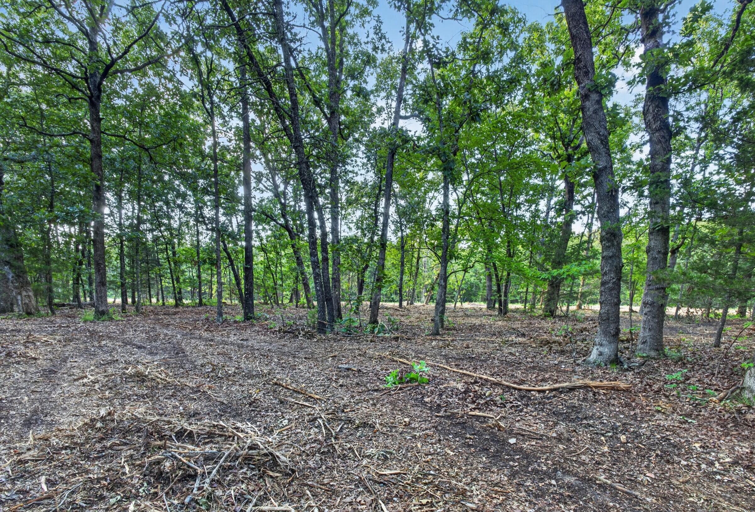 004 Cantrell Road Property Photo 7