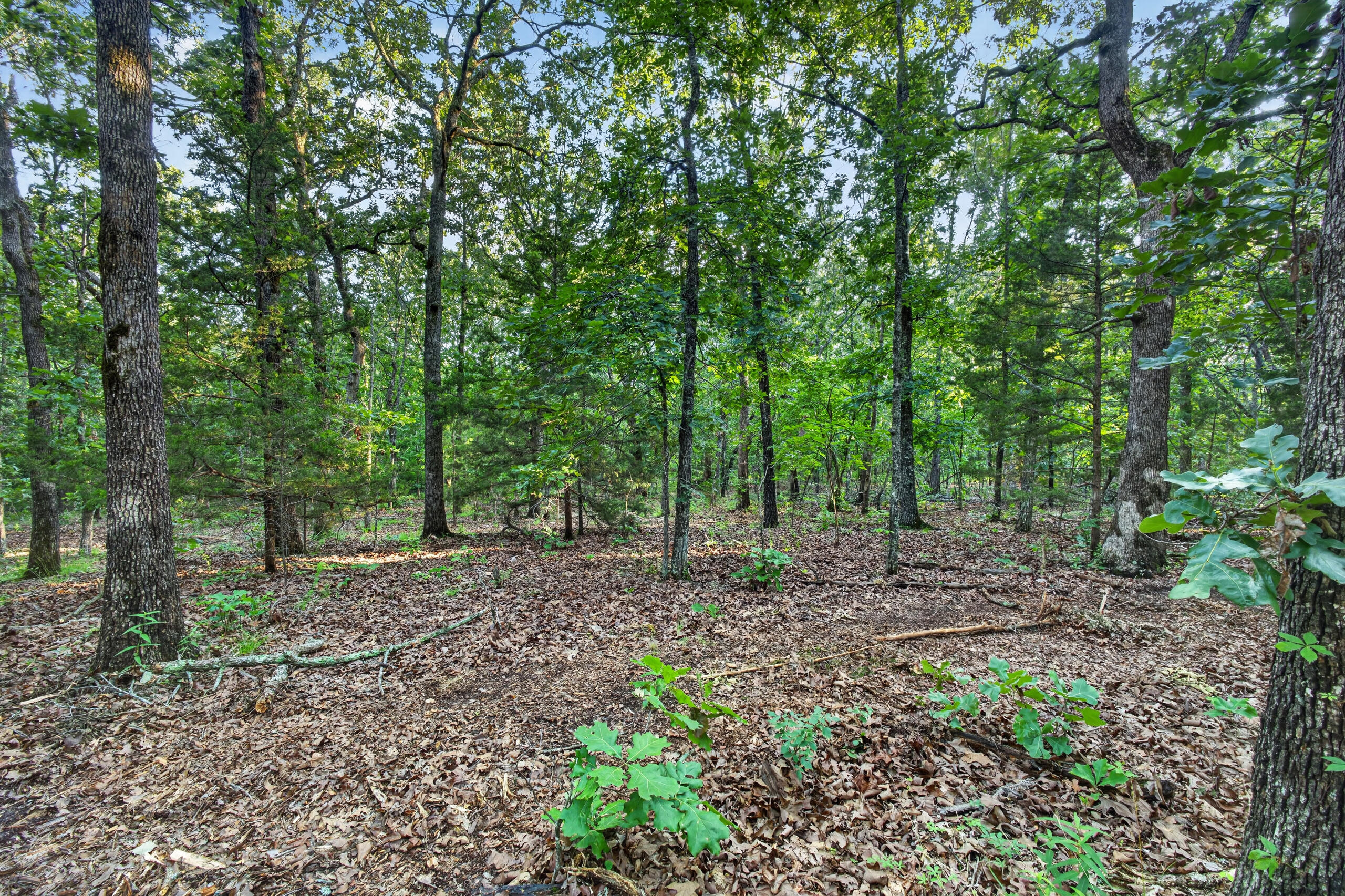 004 Cantrell Road Property Photo 9