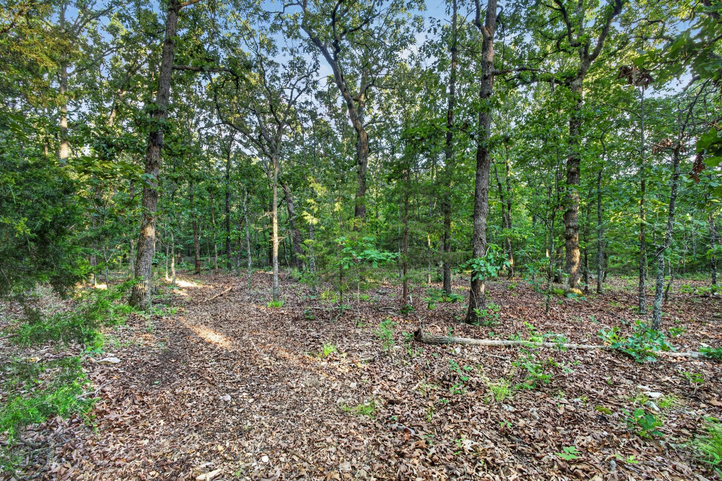 004 Cantrell Road Property Photo 10
