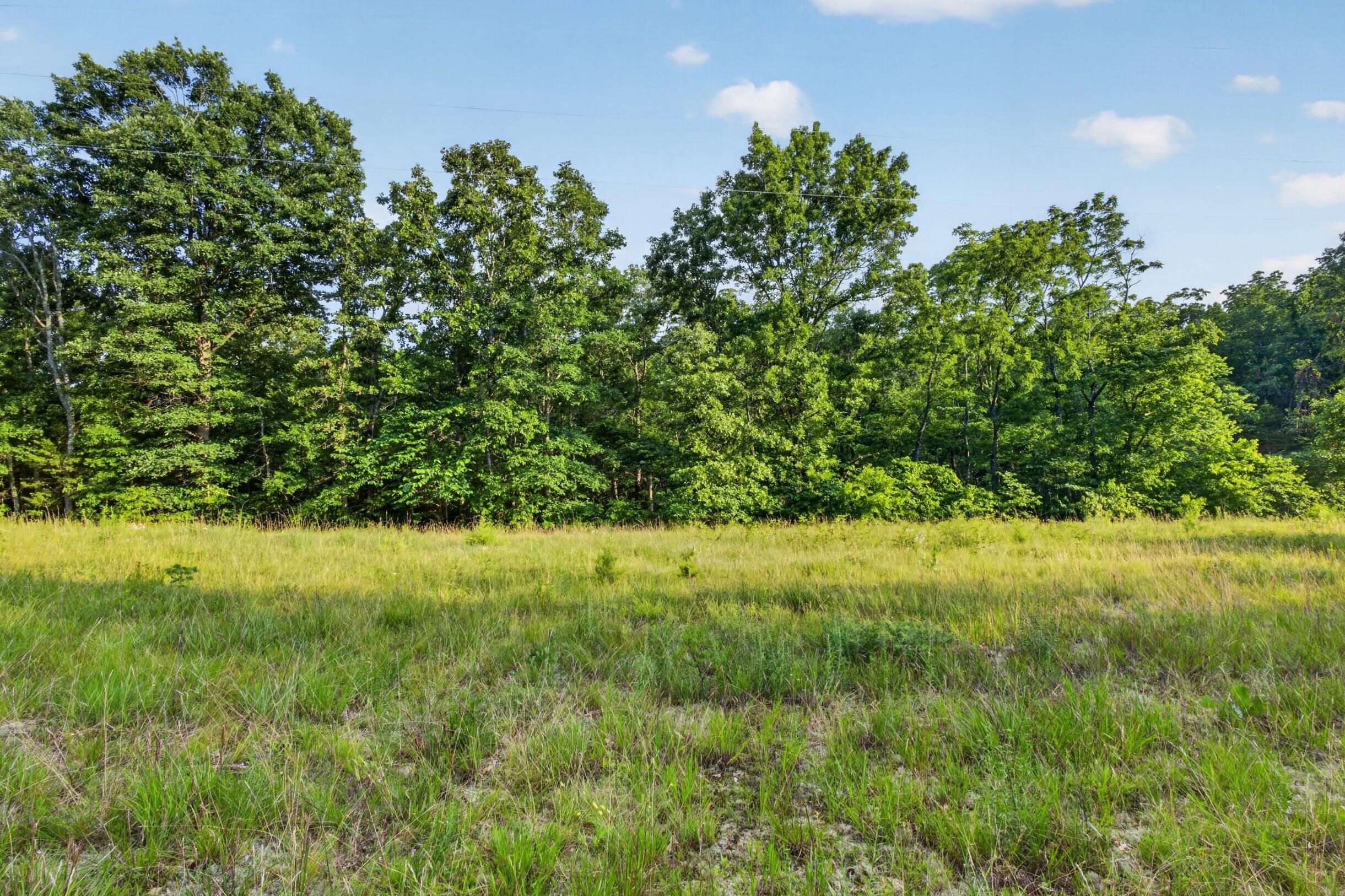 004 Cantrell Road Property Photo 11
