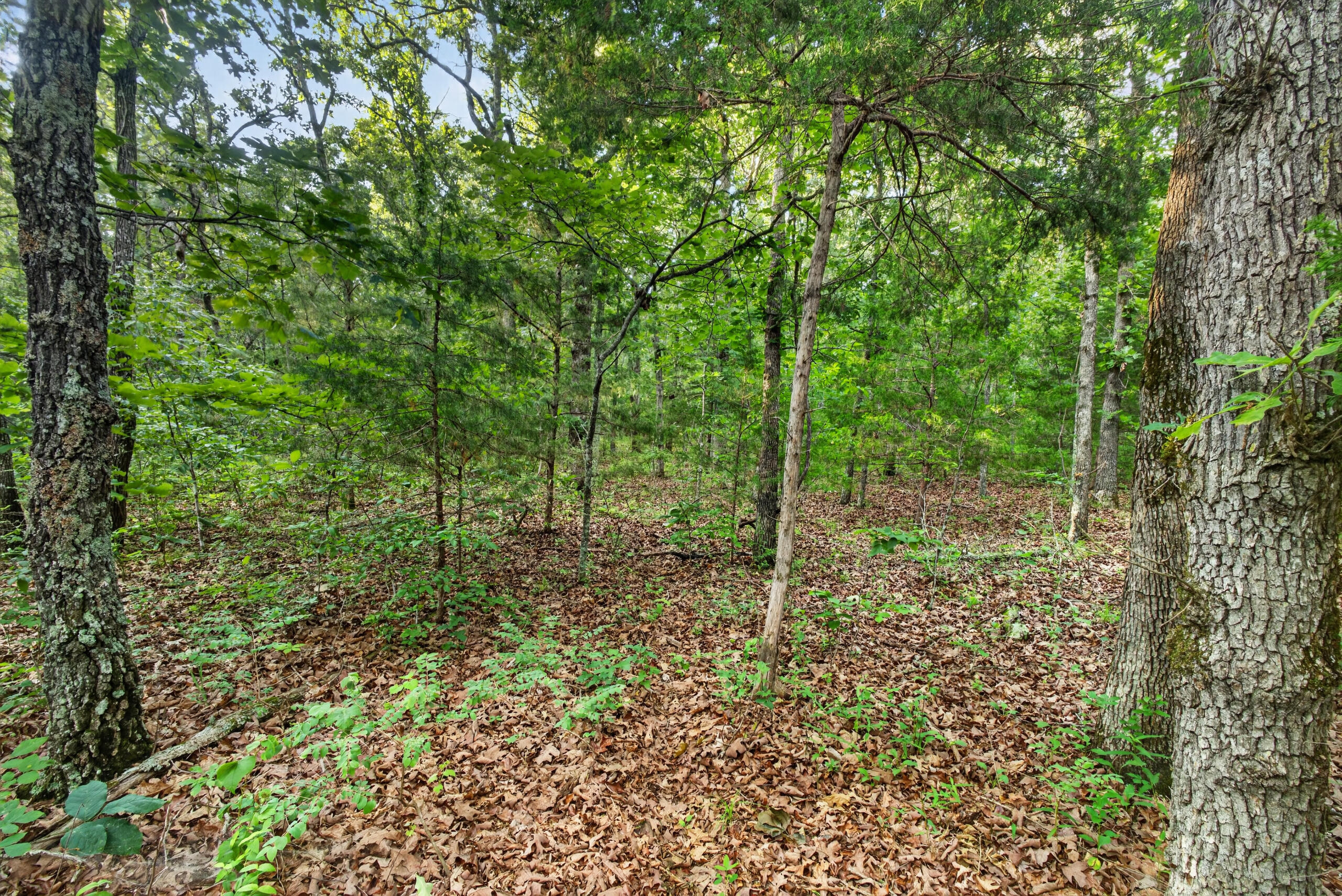 004 Cantrell Road Property Photo 12