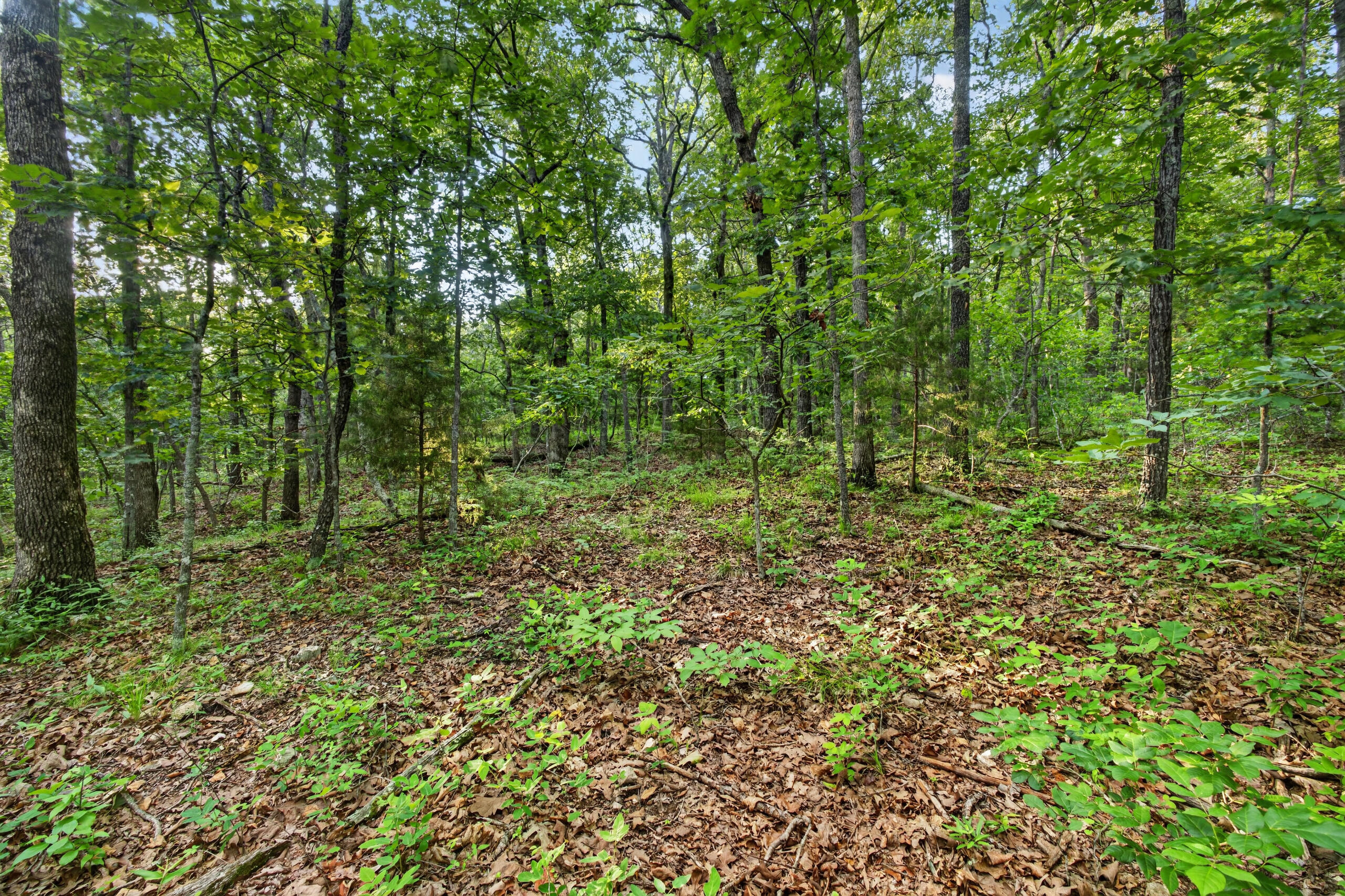 004 Cantrell Road Property Photo 13