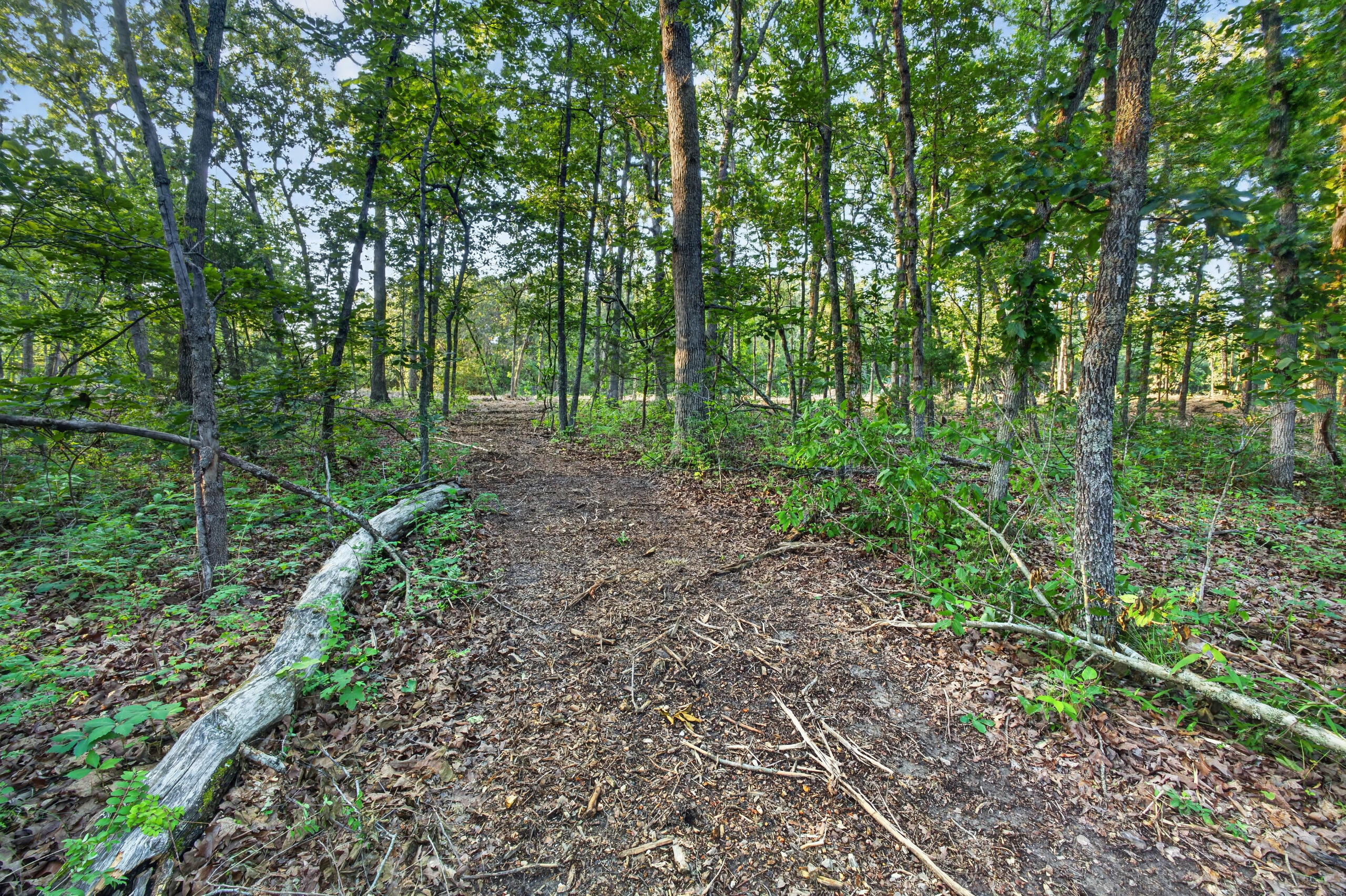004 Cantrell Road Property Photo 14