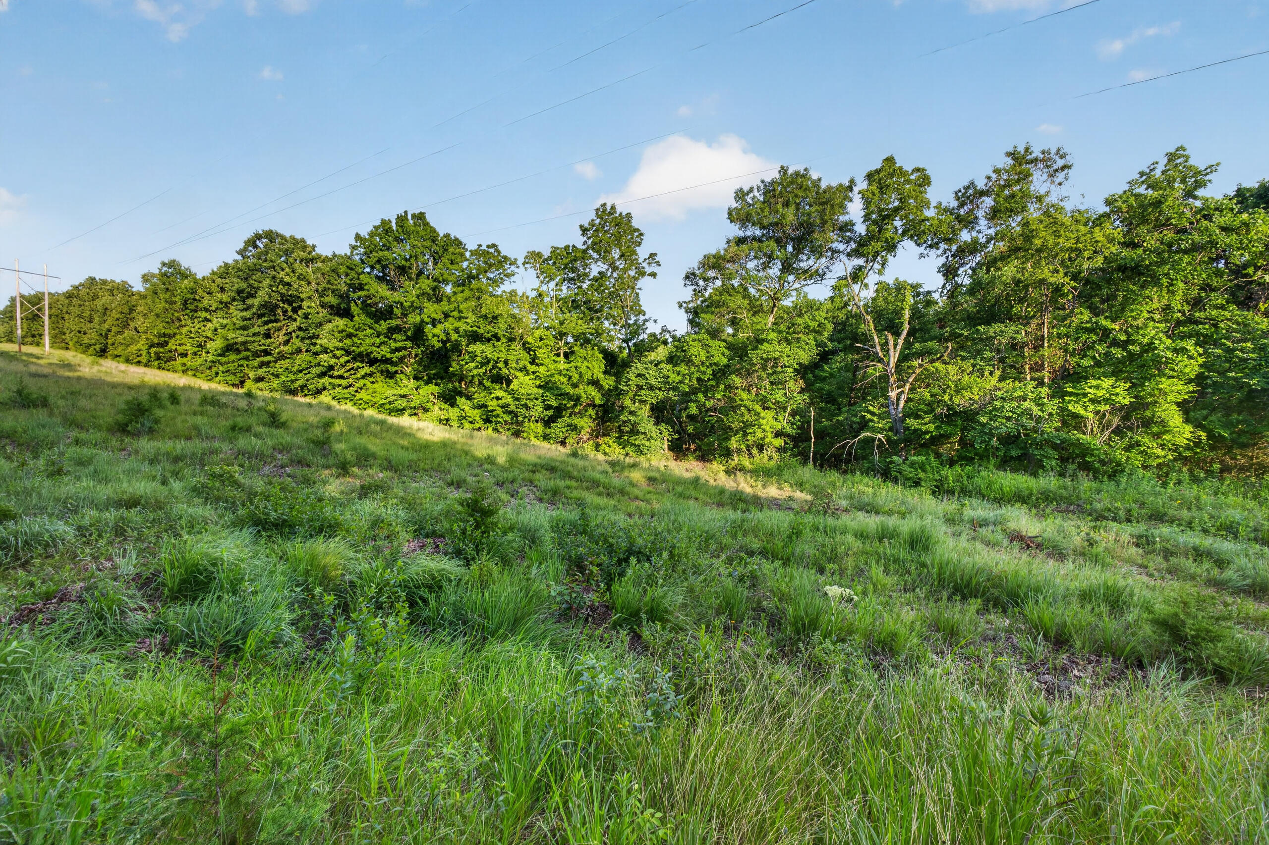 003 Cantrell Road Property Photo 11