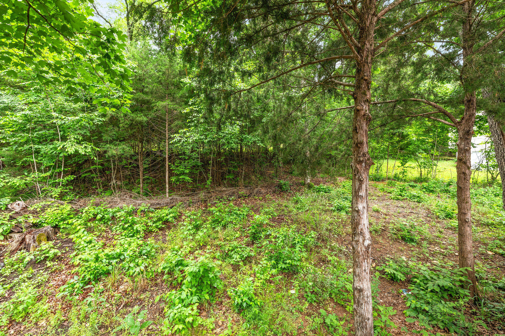 1015 Greentree Road Property Photo 16