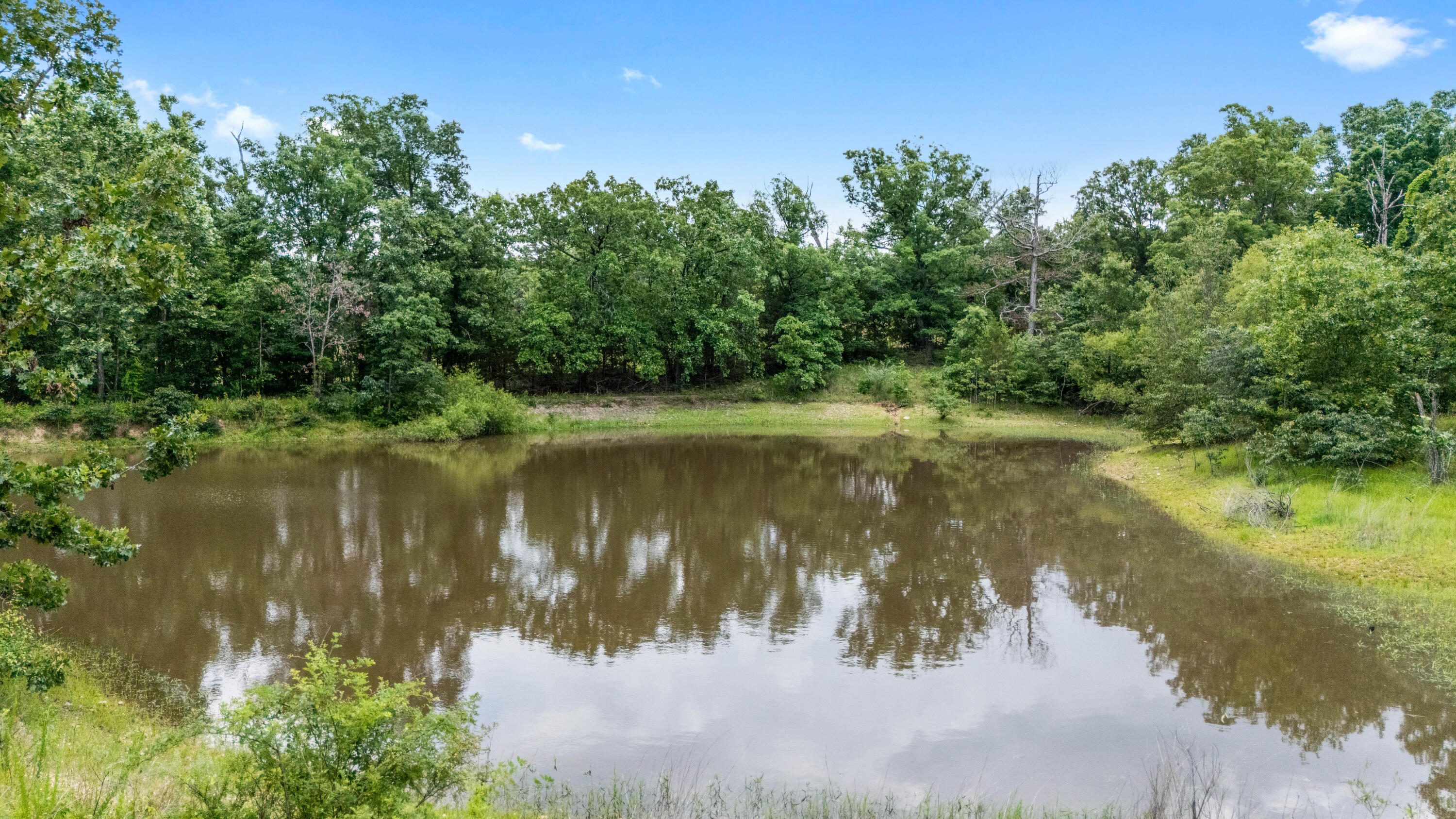 4368 State Route Cc Property Photo 7