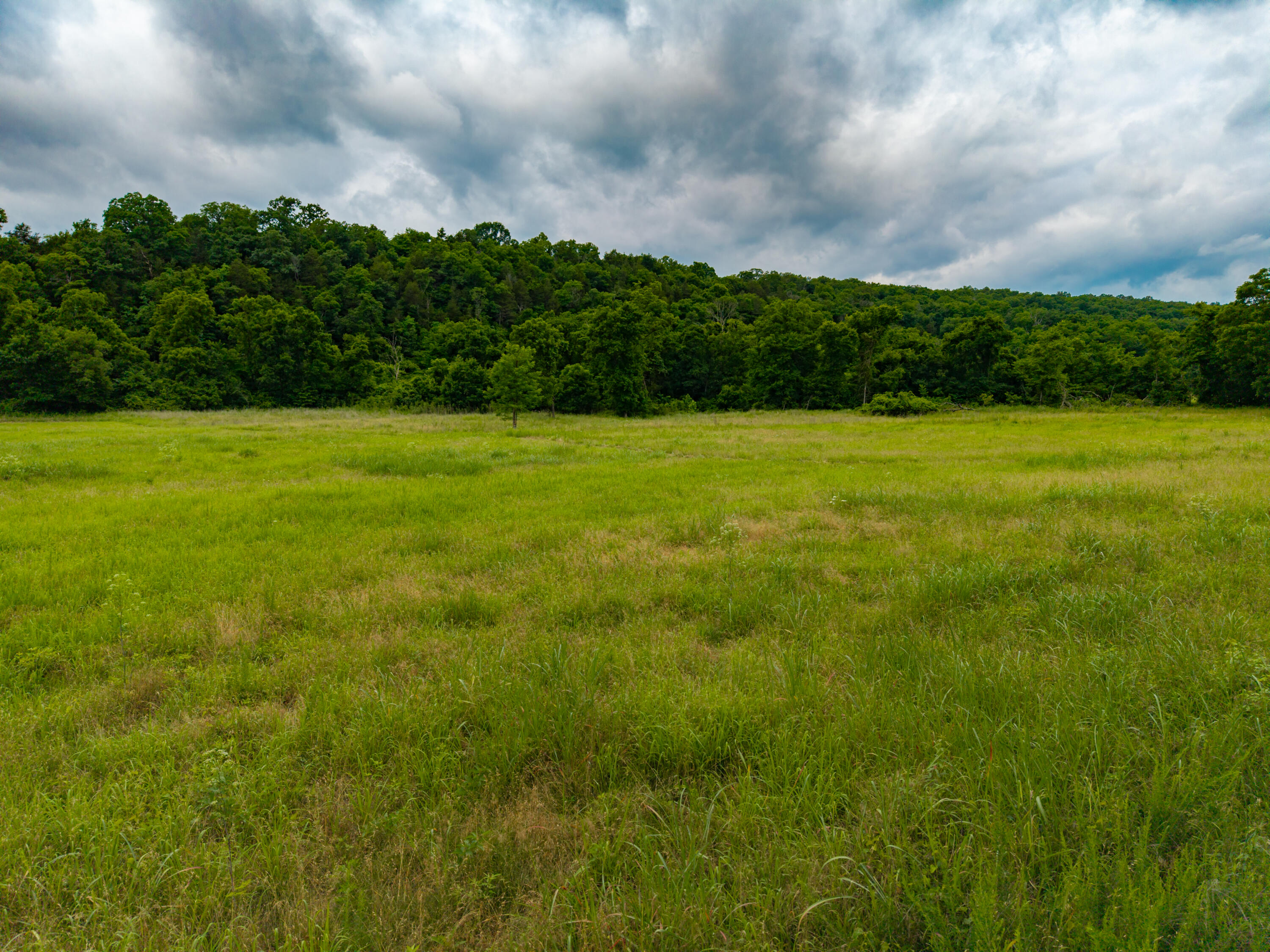 3236 County Road 873 Property Photo 72