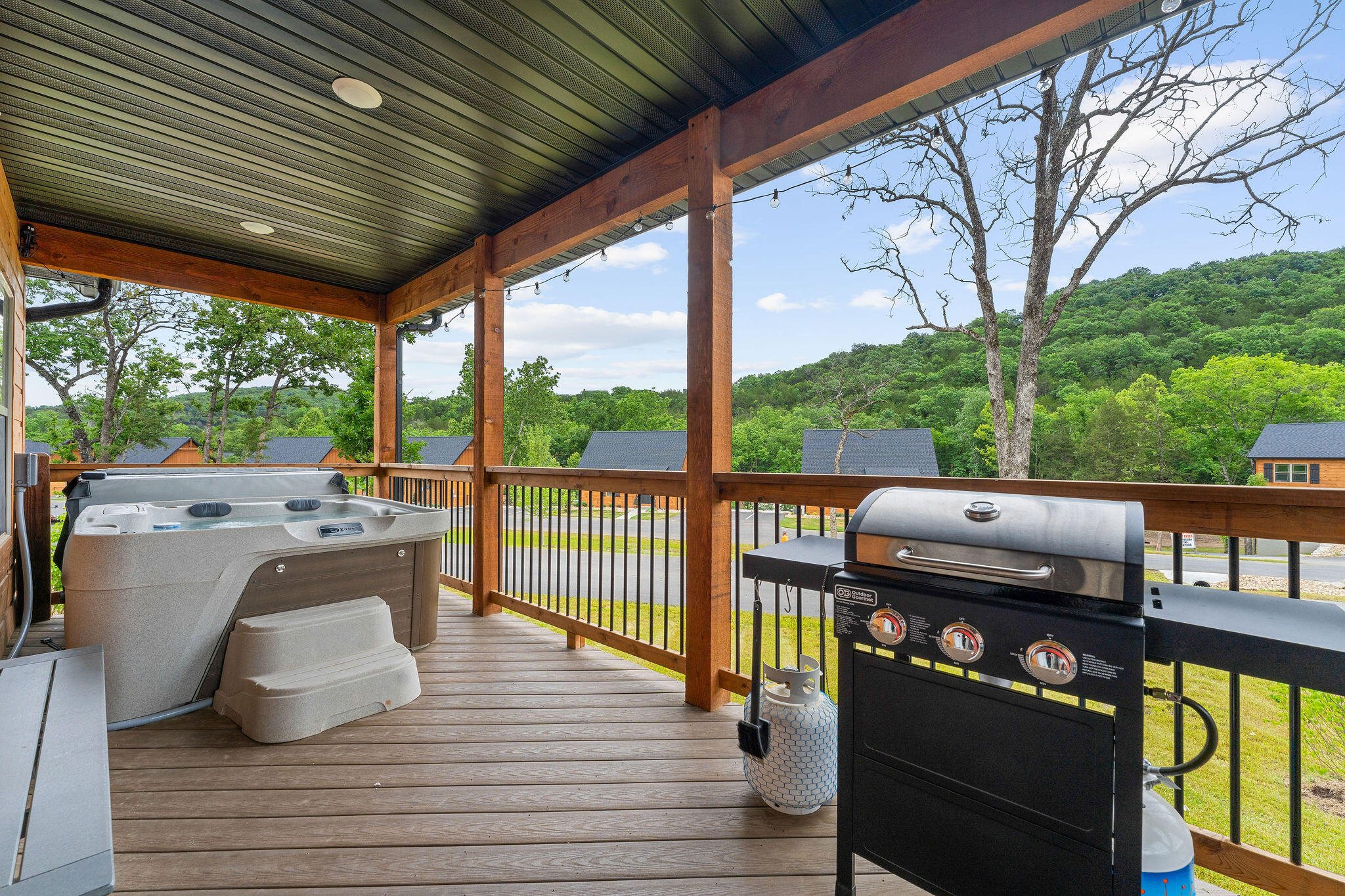 117 Hillside Pass Property Photo 39