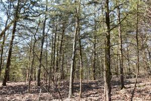 000 Us Highway 65 South Property Photo 1