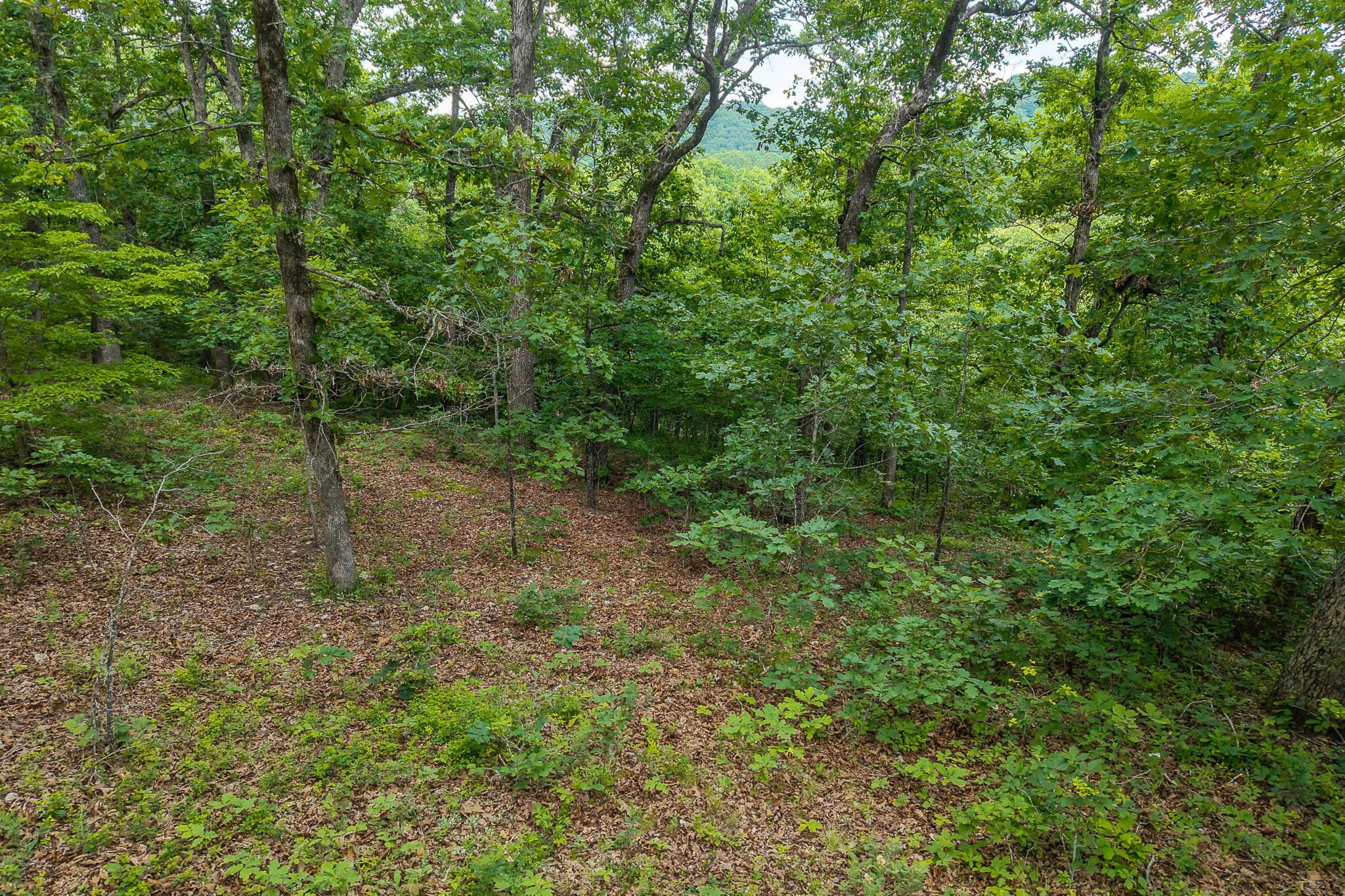 000 Hoot Owl Trail Property Photo 37