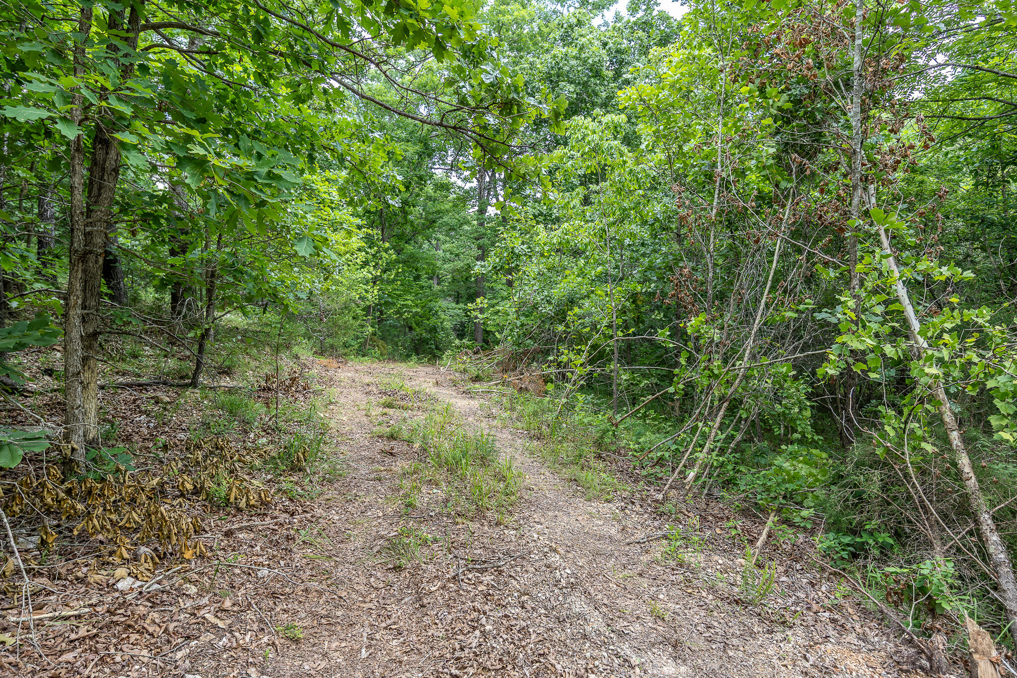 000 Hoot Owl Trail Property Photo 40