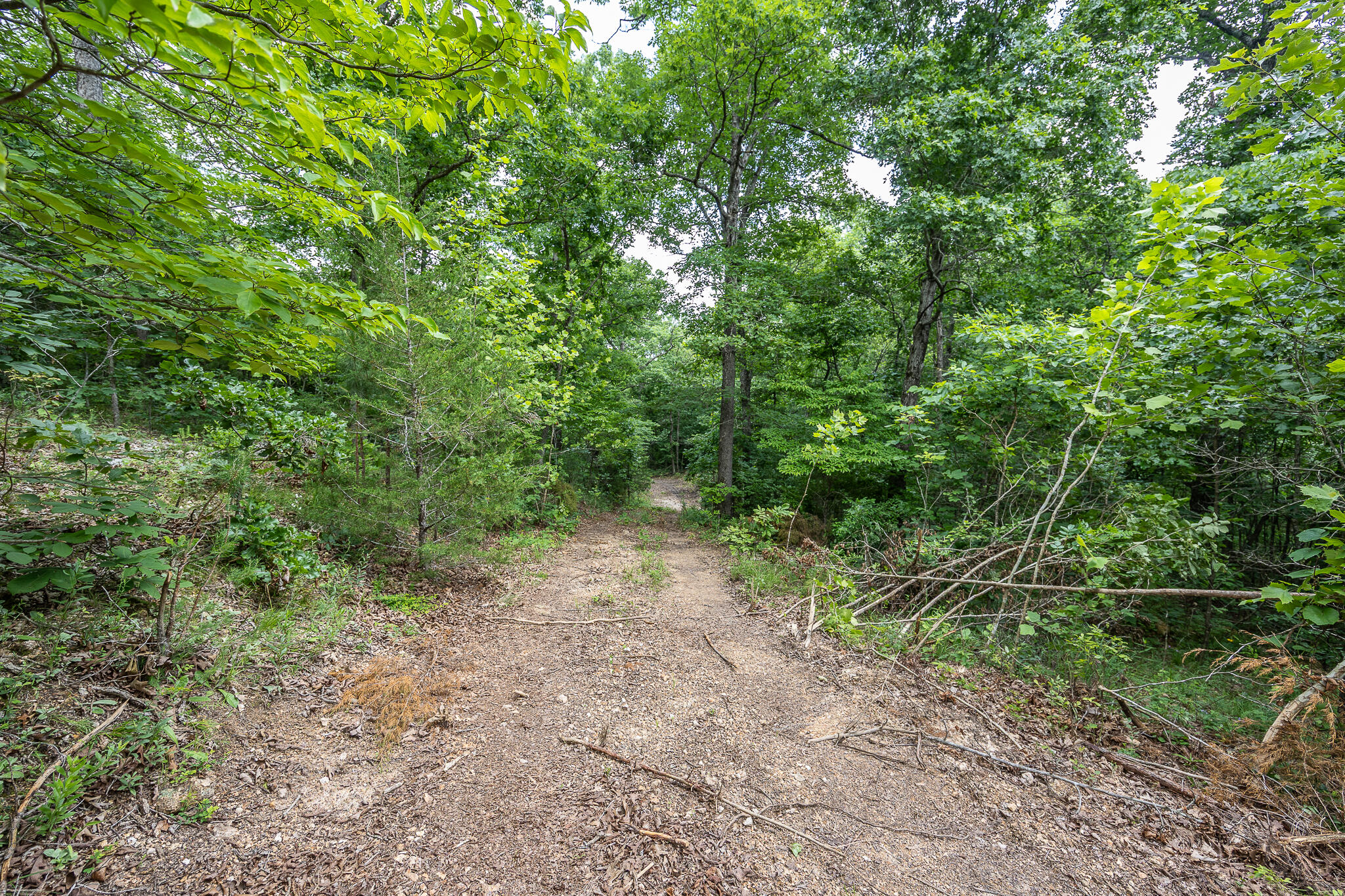 000 Hoot Owl Trail Property Photo 41