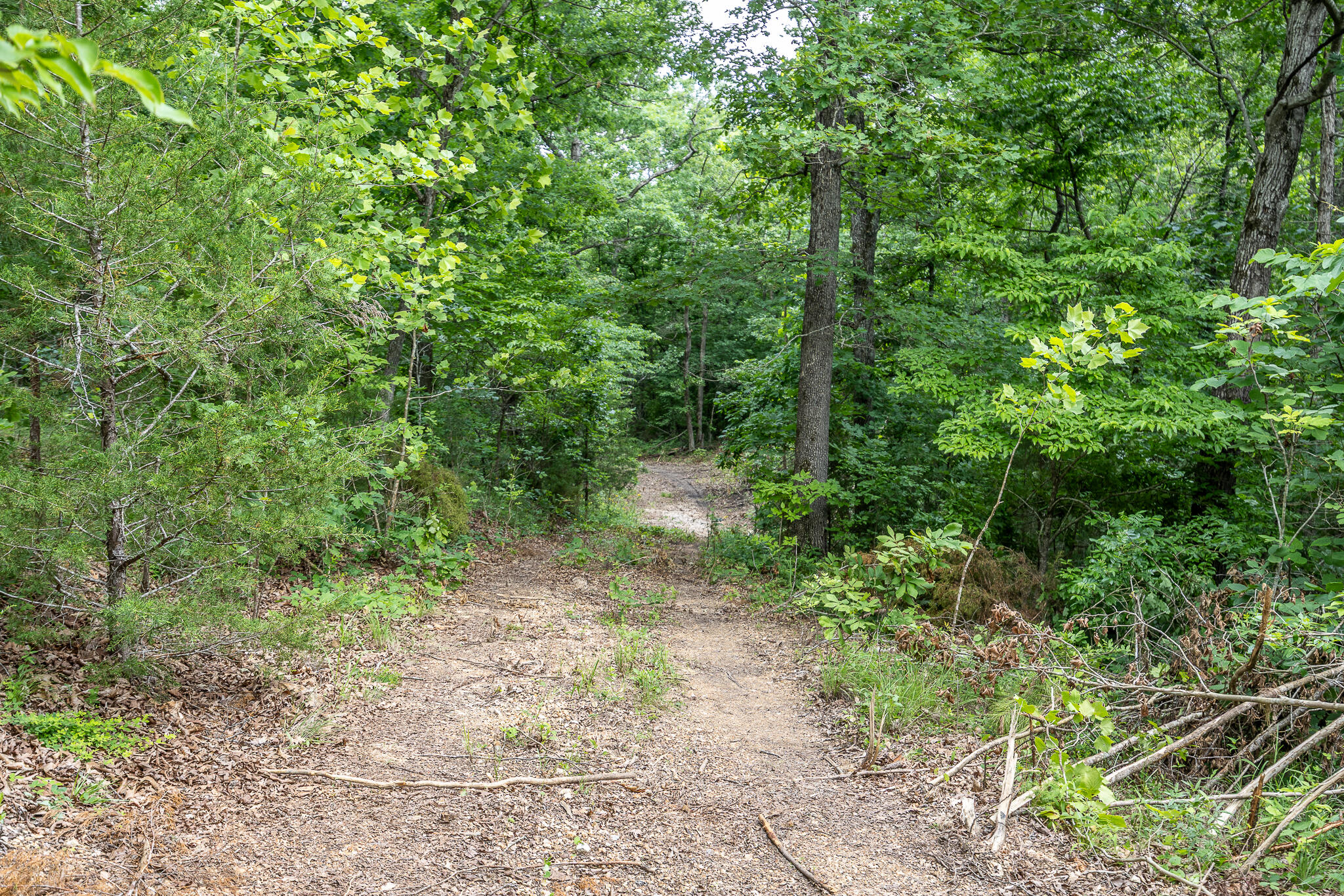 000 Hoot Owl Trail Property Photo 42