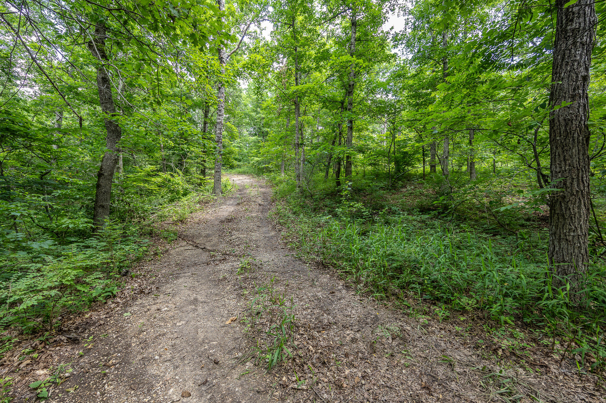 000 Hoot Owl Trail Property Photo 45