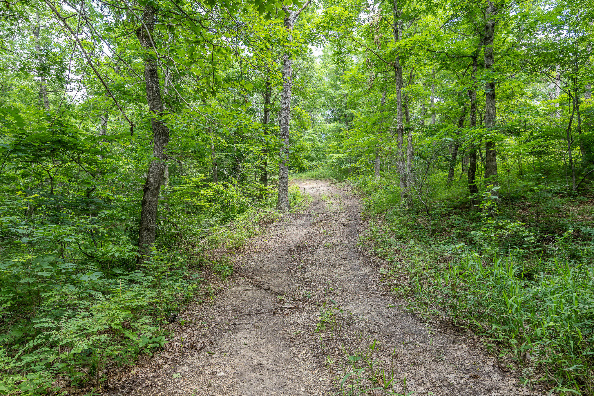 000 Hoot Owl Trail Property Photo 46