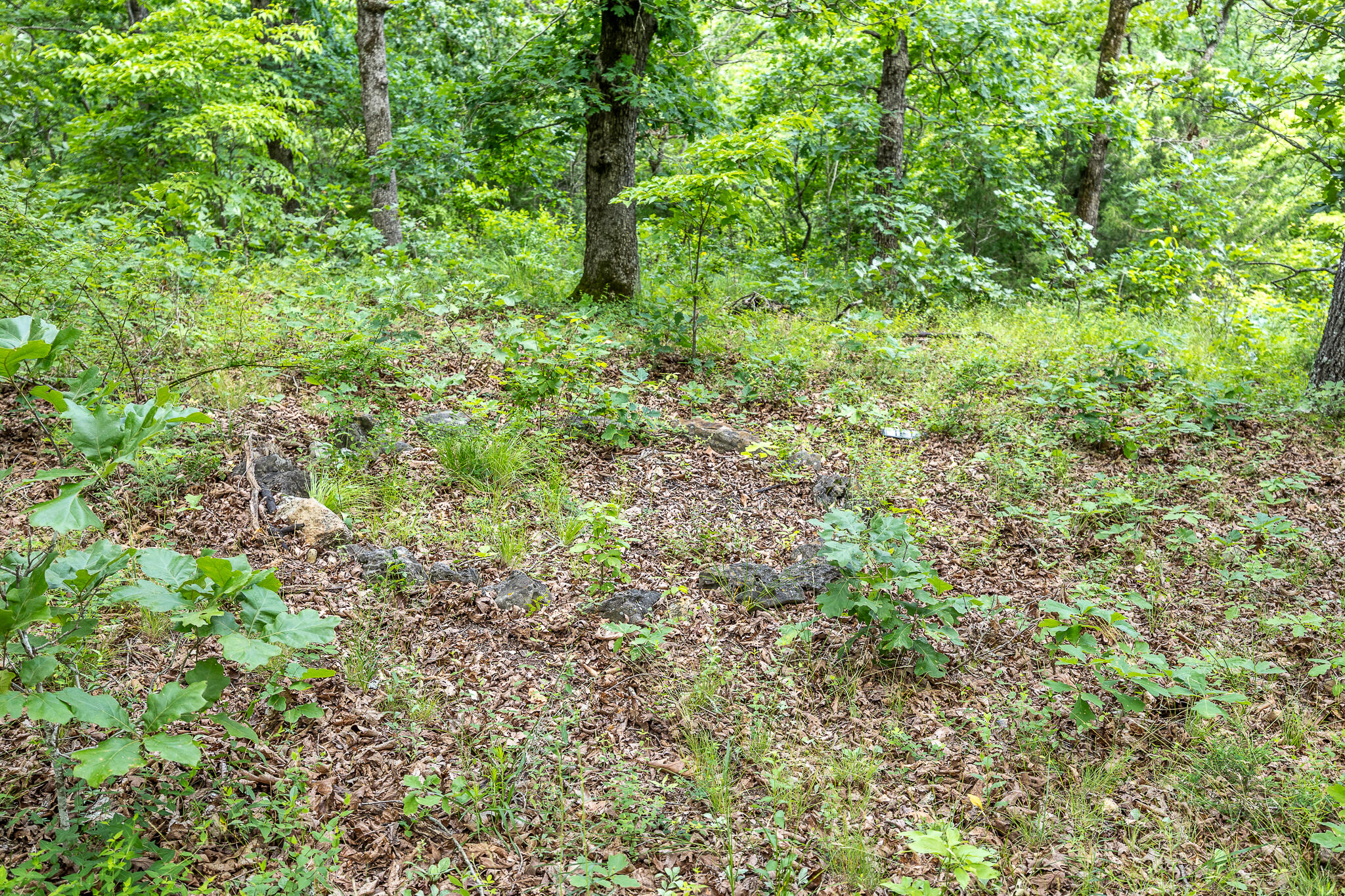 000 Hoot Owl Trail Property Photo 51