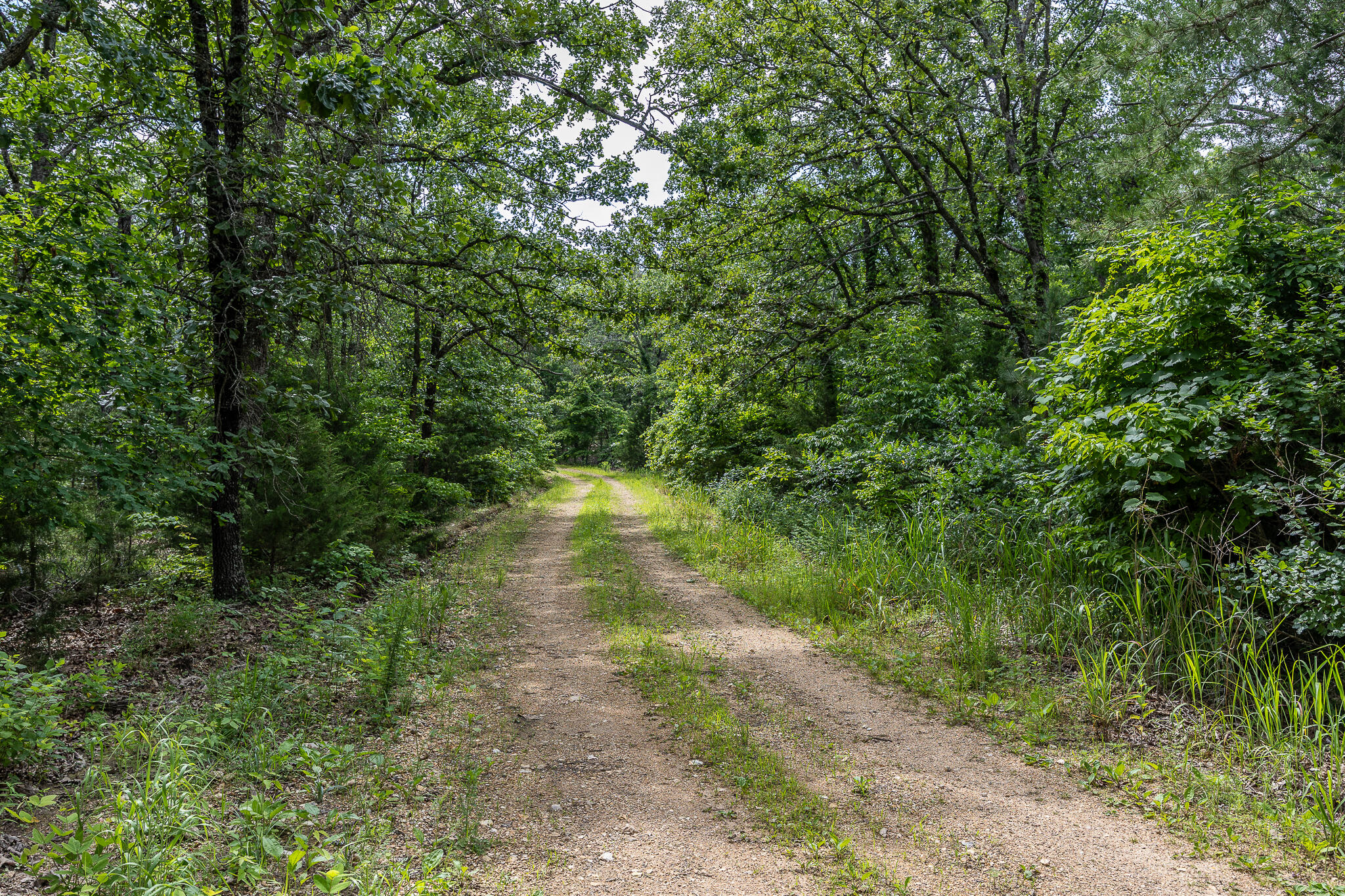 000 Hoot Owl Trail Property Photo 58