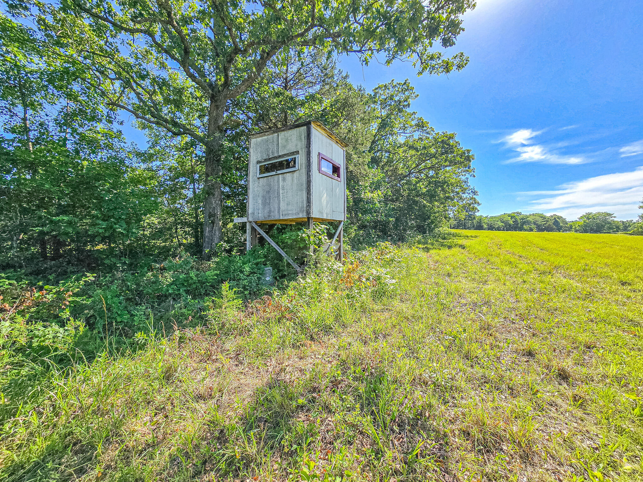 000 County Road 8c Property Photo 3