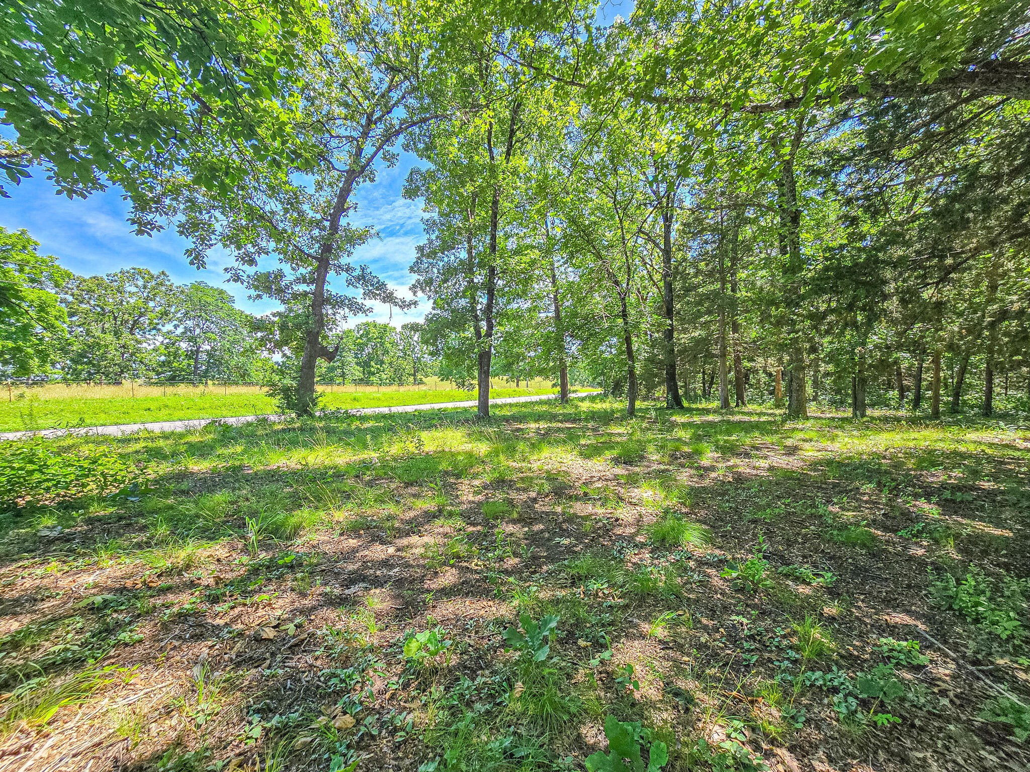 21436 State Highway D Property Photo 2