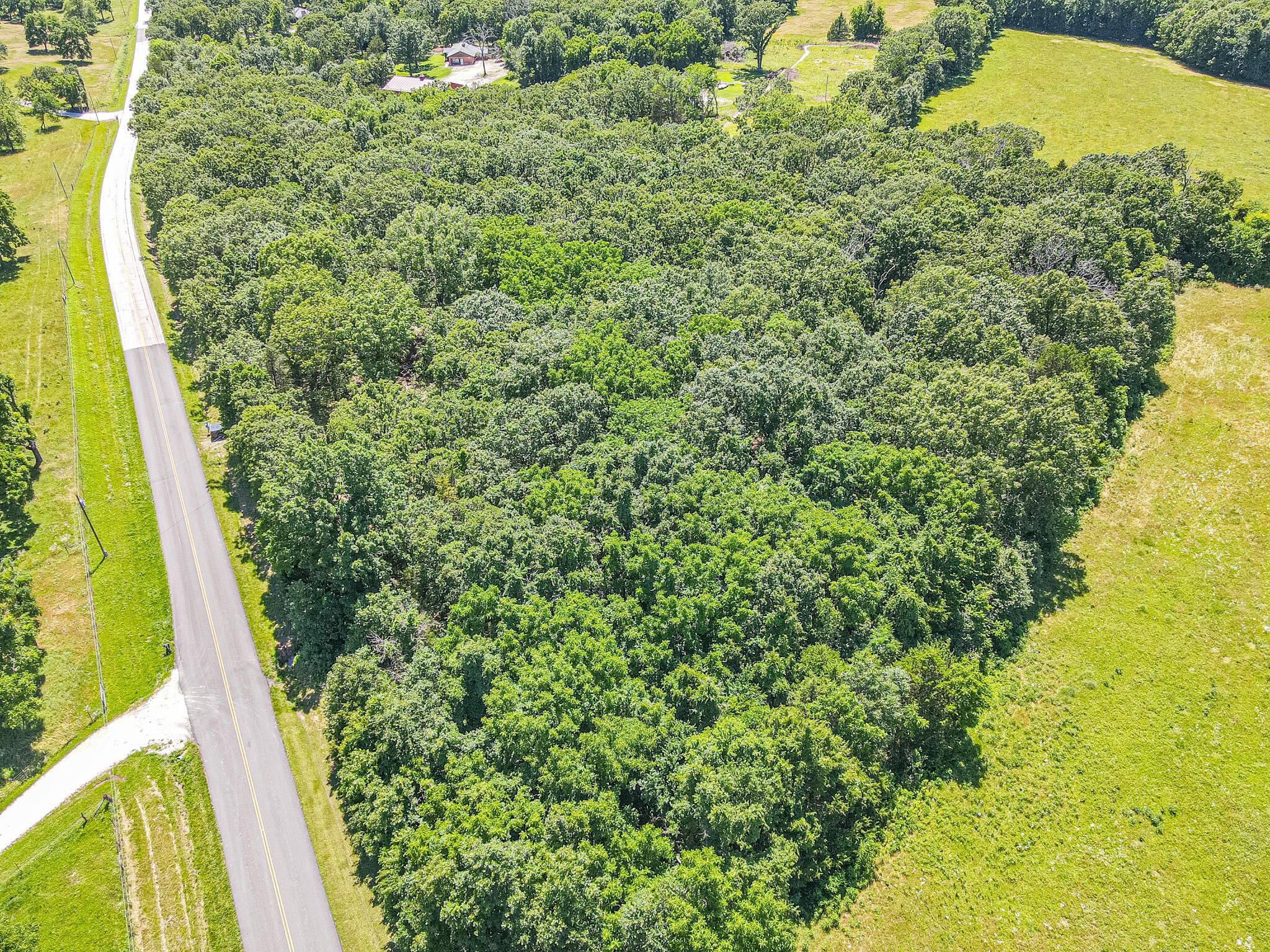 21436 State Highway D Property Photo 4