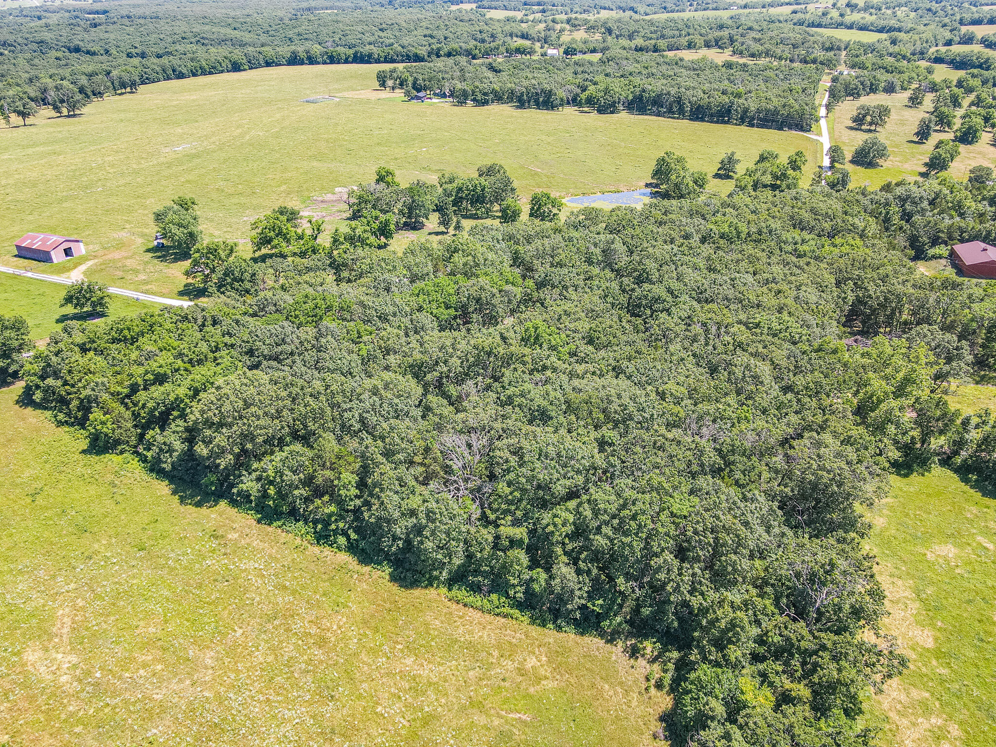 21436 State Highway D Property Photo 5