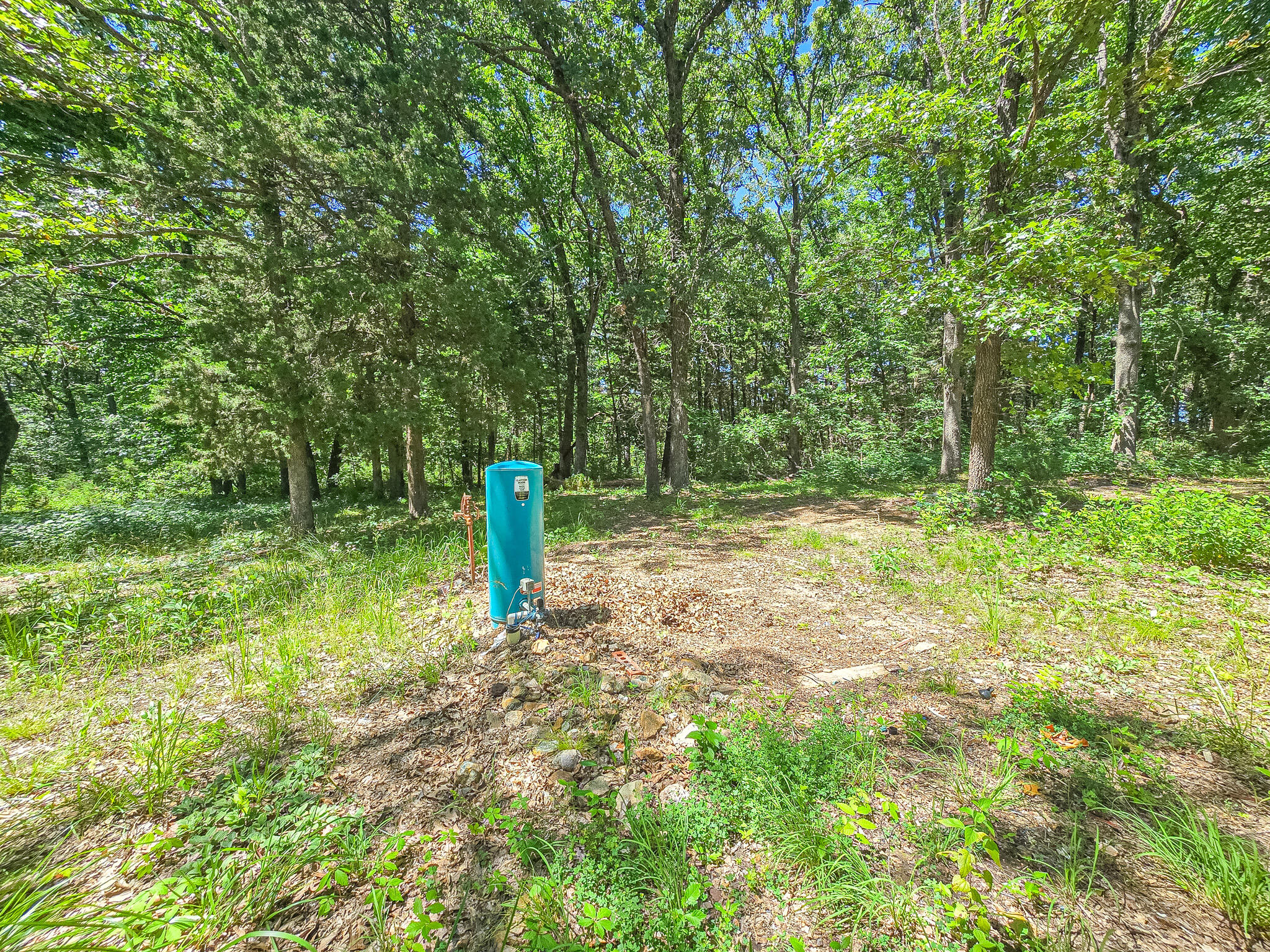 21436 State Highway D Property Photo 6