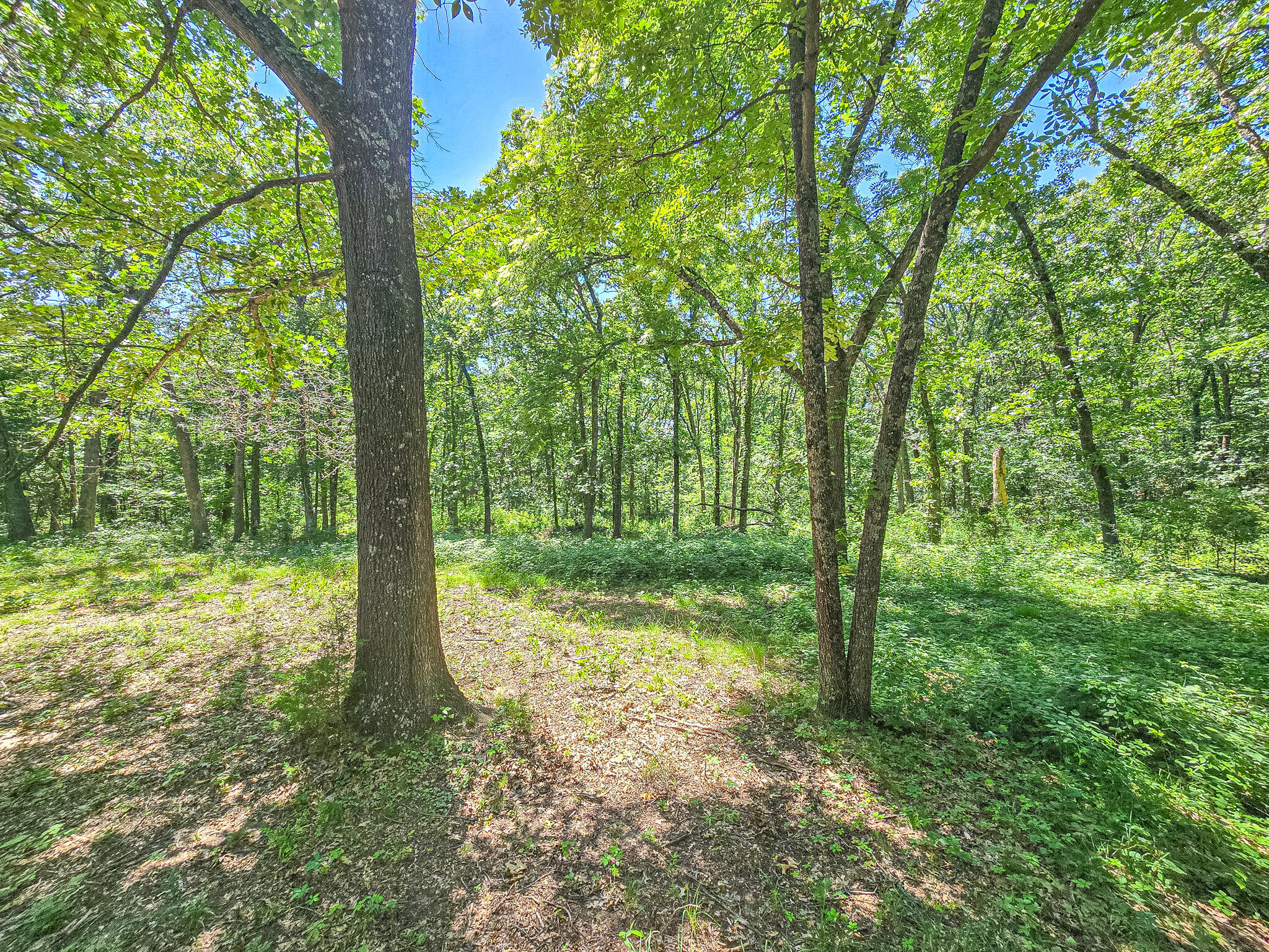 21436 State Highway D Property Photo 8