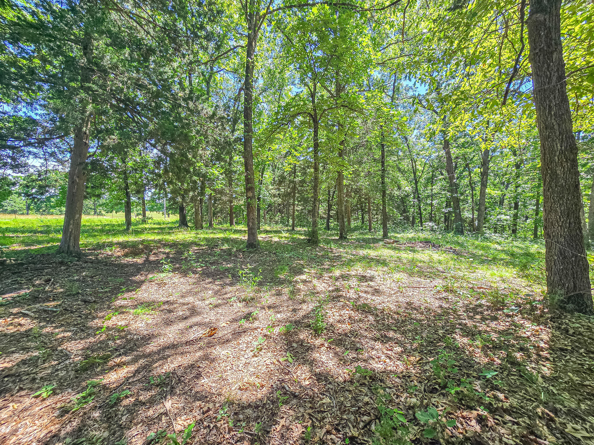 21436 State Highway D Property Photo 9