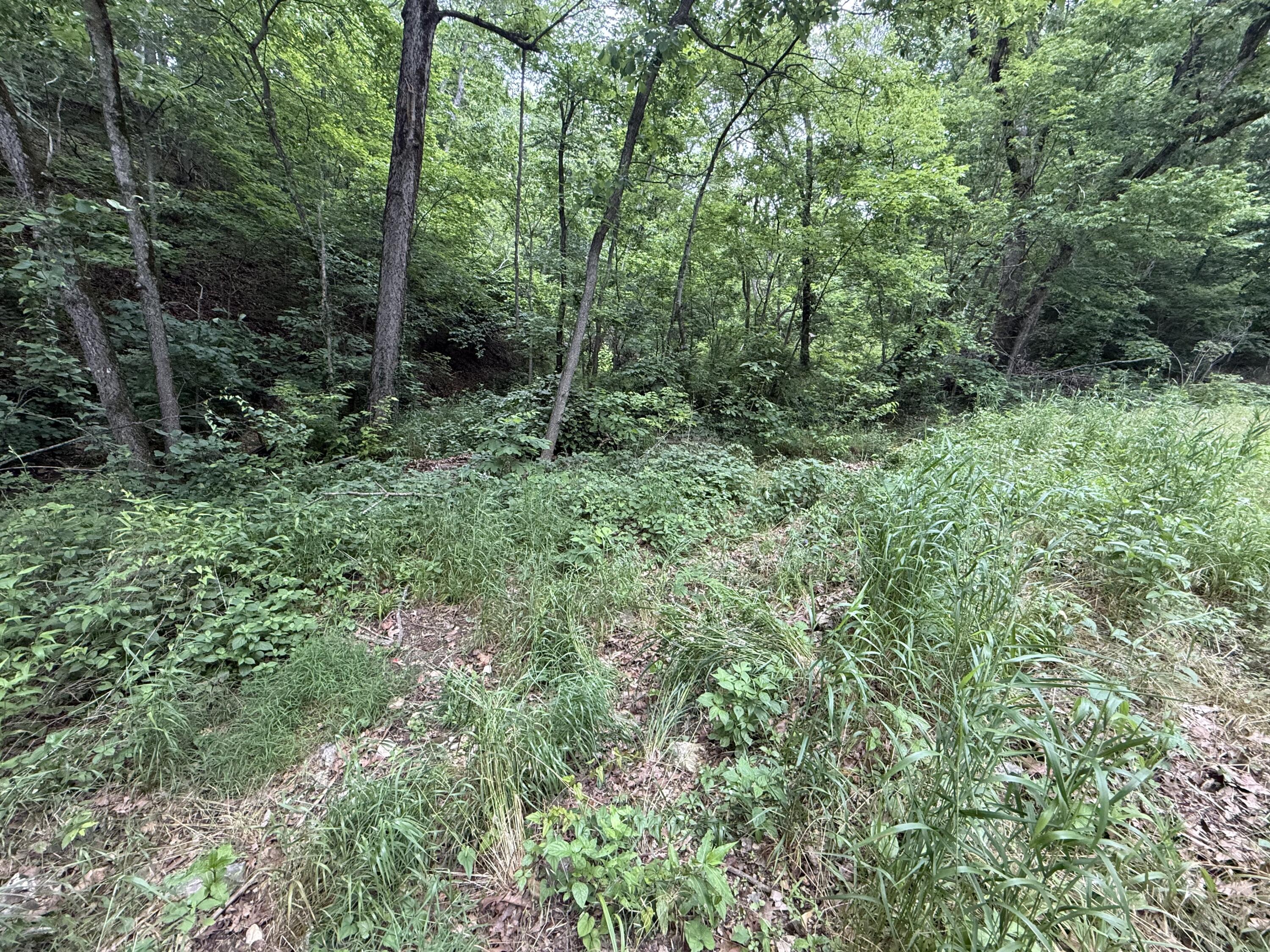Tbd State Highway Dd Property Photo 2