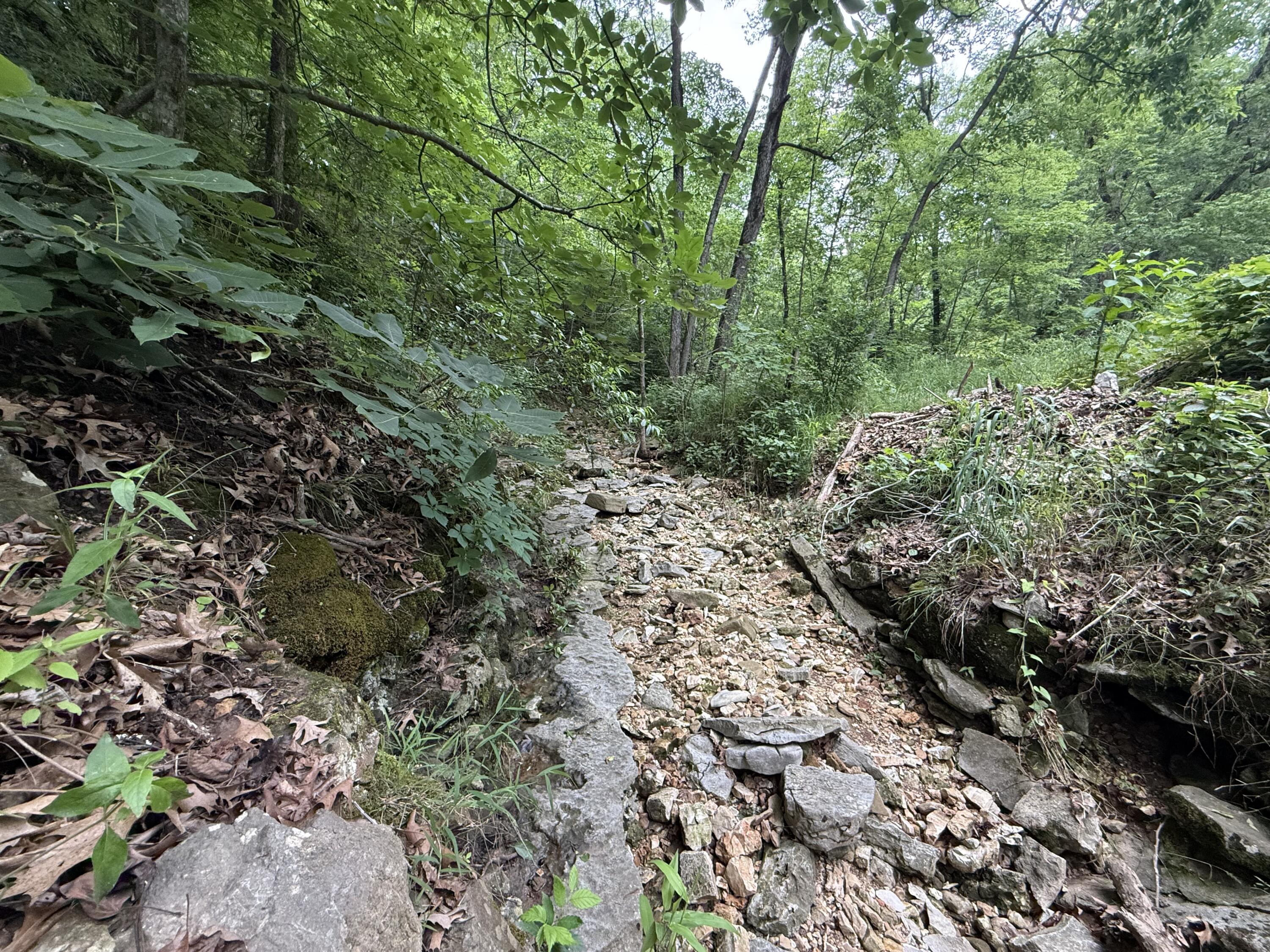 Tbd State Highway Dd Property Photo 3