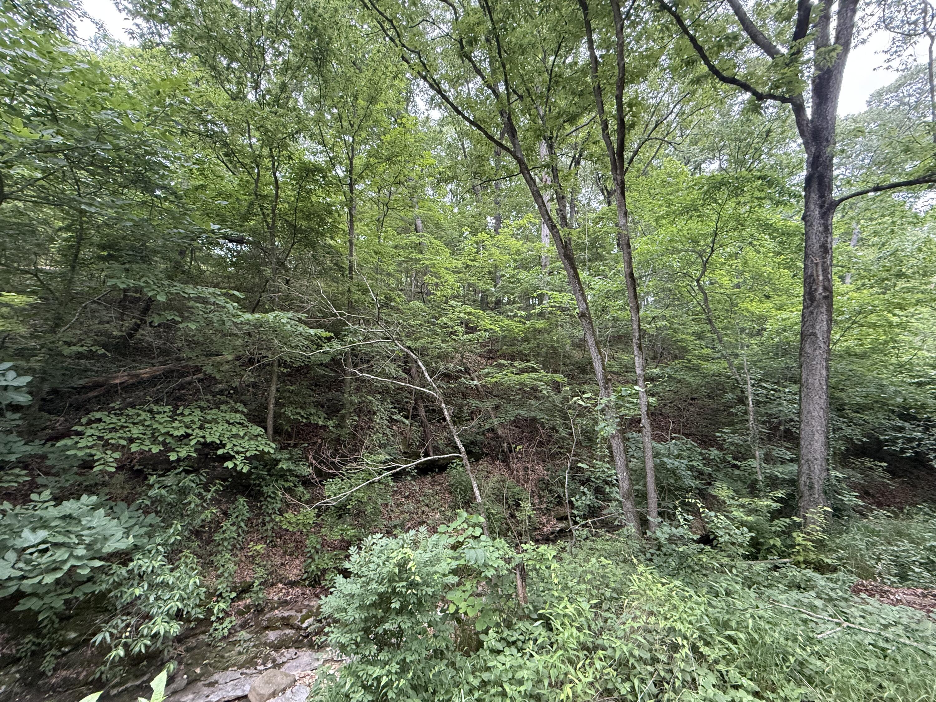 Tbd State Highway Dd Property Photo 4