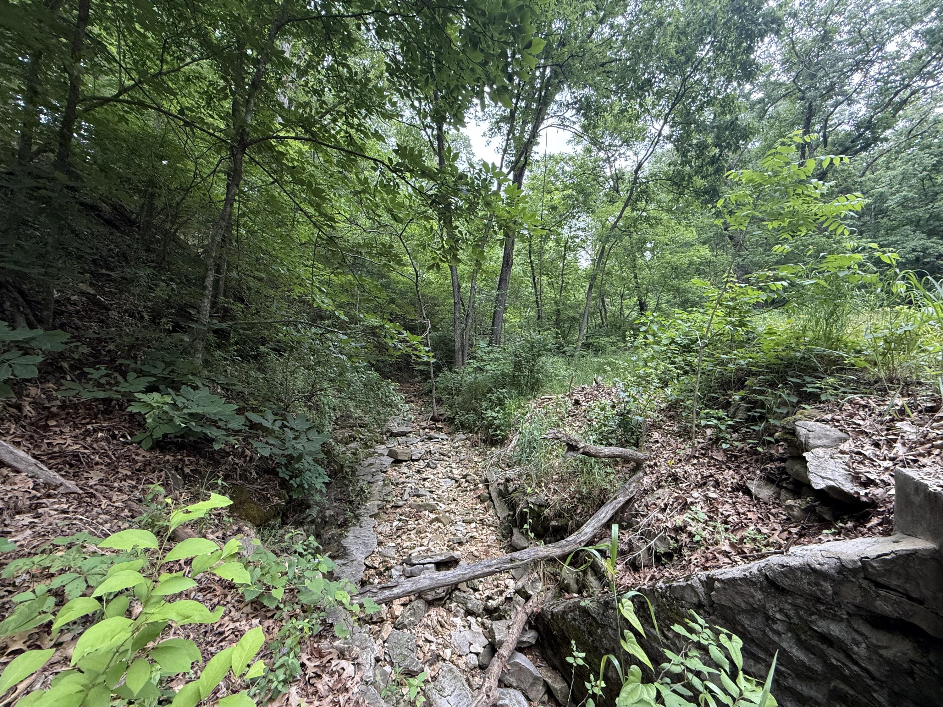 Tbd State Highway Dd Property Photo 5