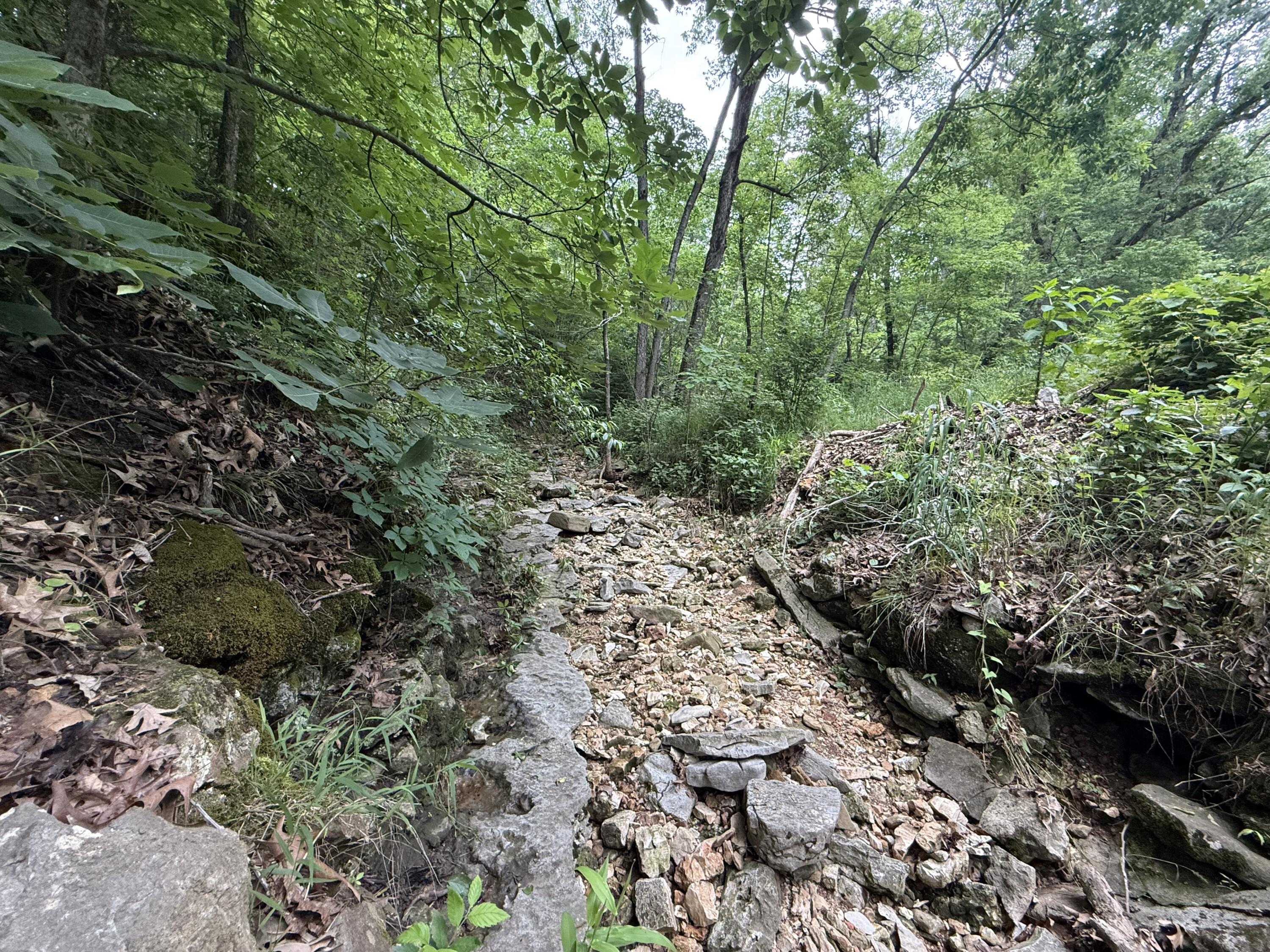 Tbd State Highway Dd Property Photo 6