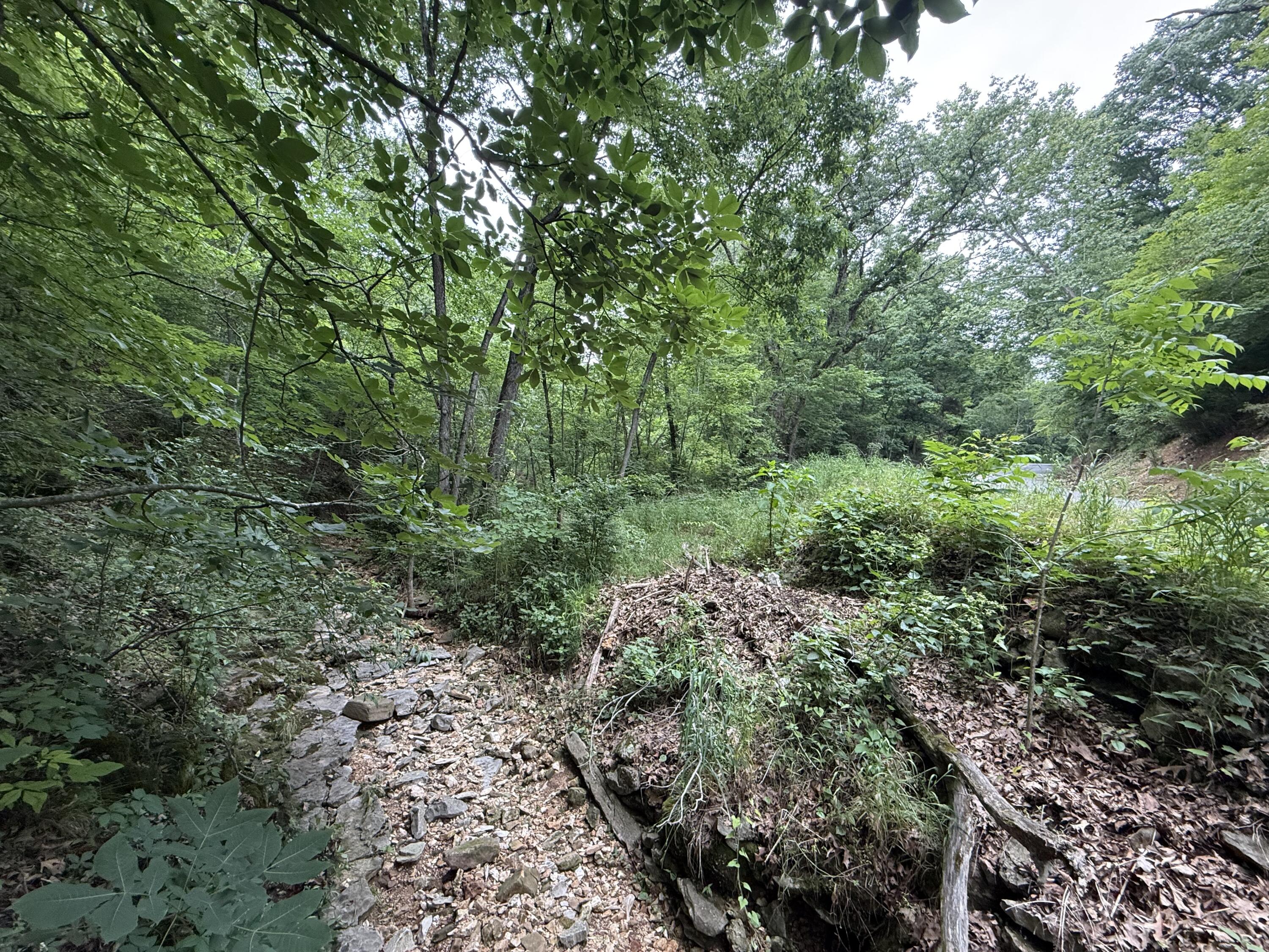 Tbd State Highway Dd Property Photo 7