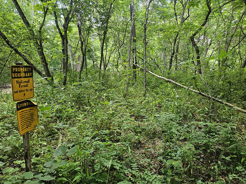 00 Forest Road 7989 Property Photo 2