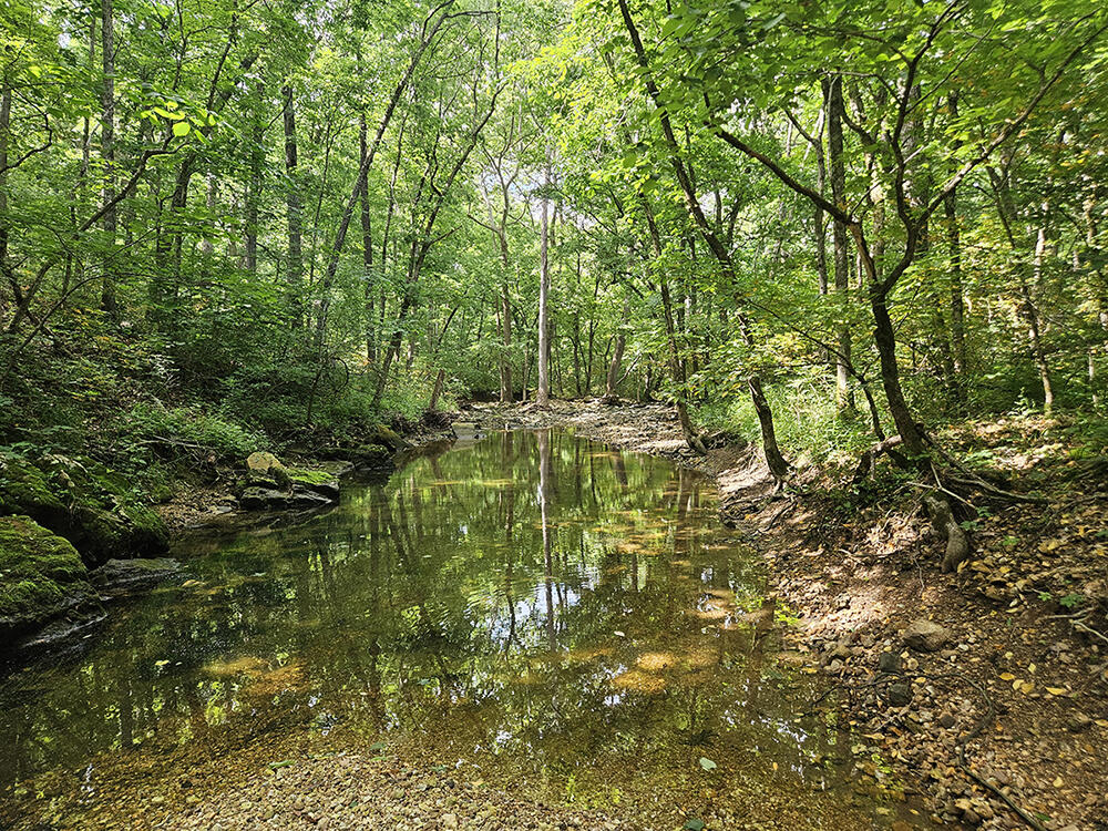 00 Forest Road 7989 Property Photo 4