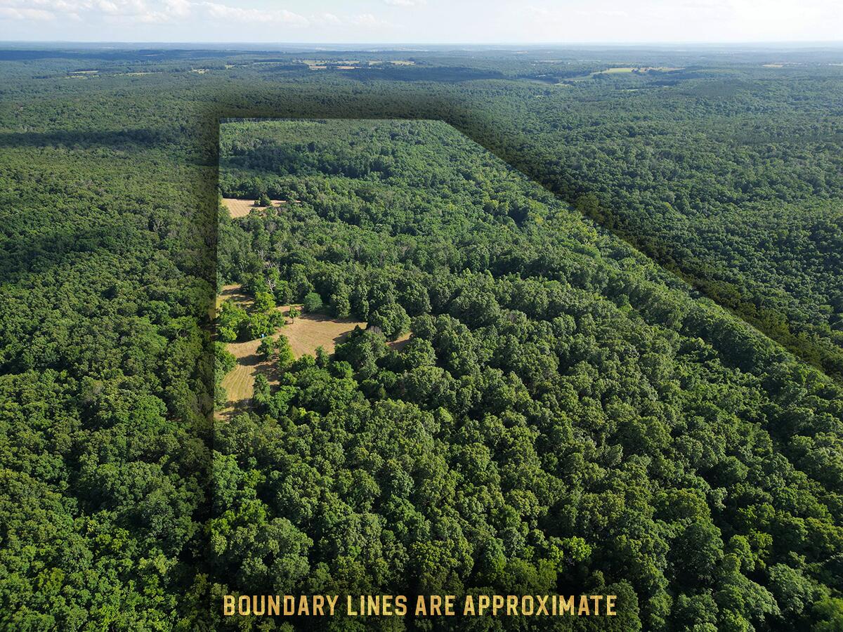 00 Forest Road 7989 Property Photo 8