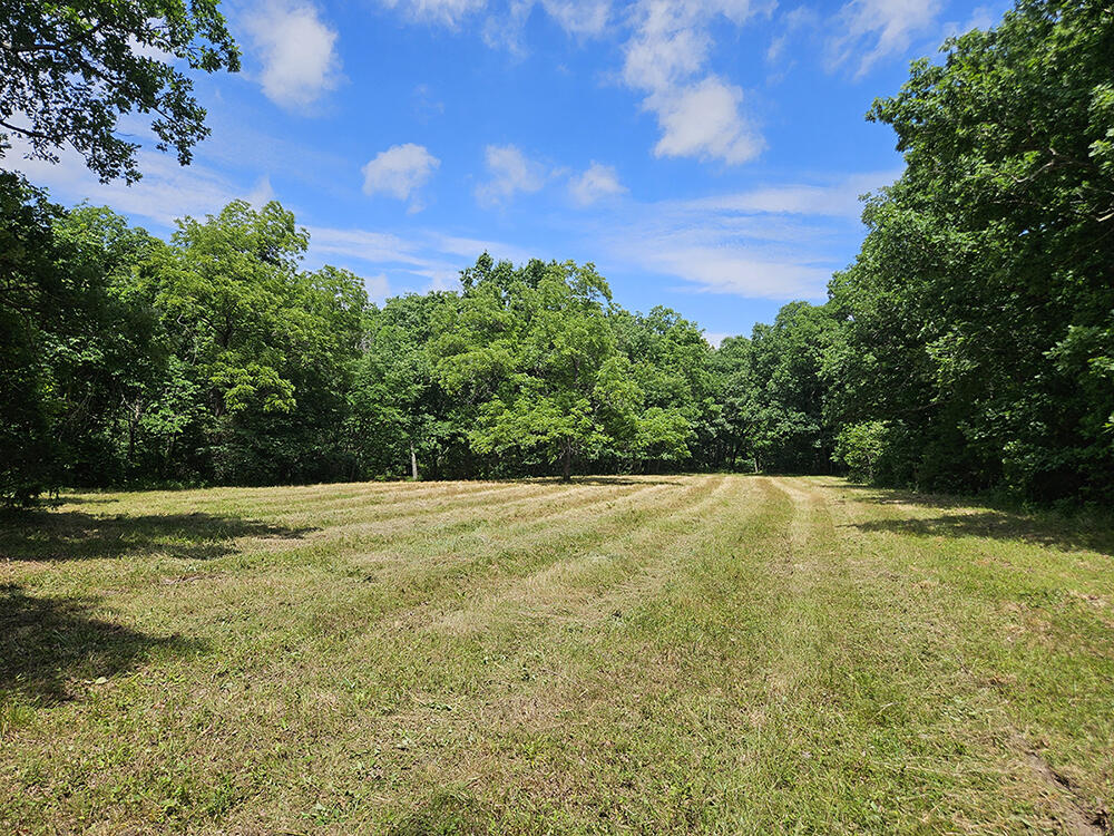 00 Forest Road 7989 Property Photo 9