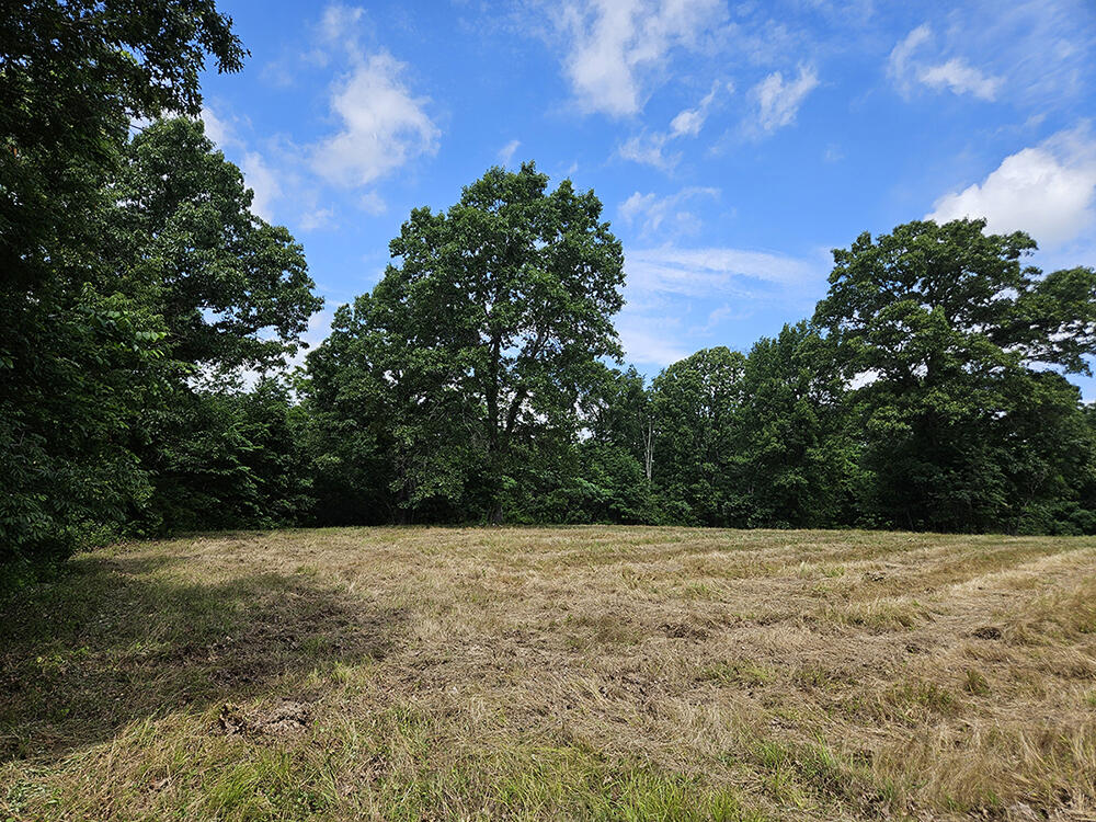 00 Forest Road 7989 Property Photo 10