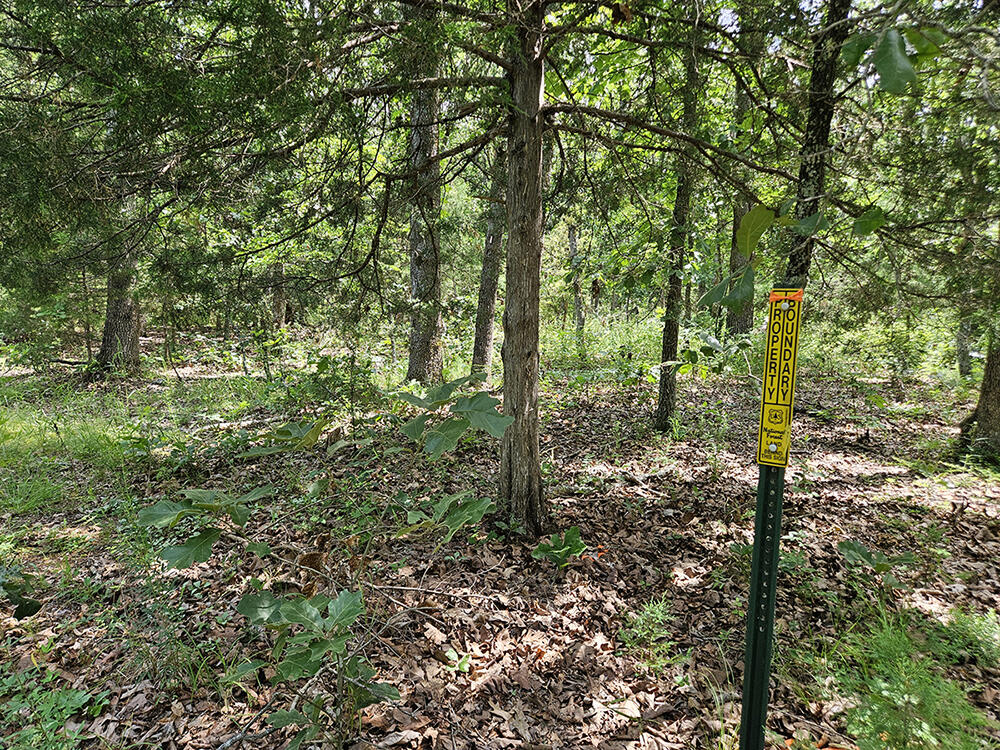 00 Forest Road 7989 Property Photo 11