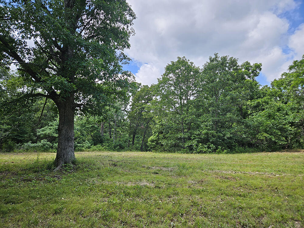 00 Forest Road 7989 Property Photo 13