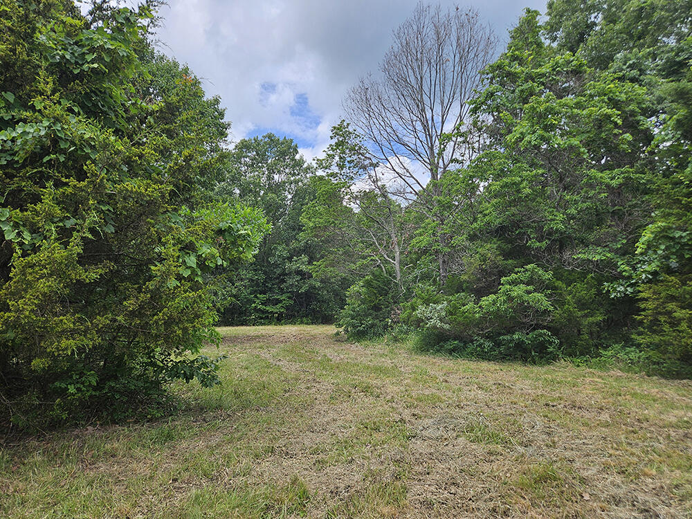 00 Forest Road 7989 Property Photo 15