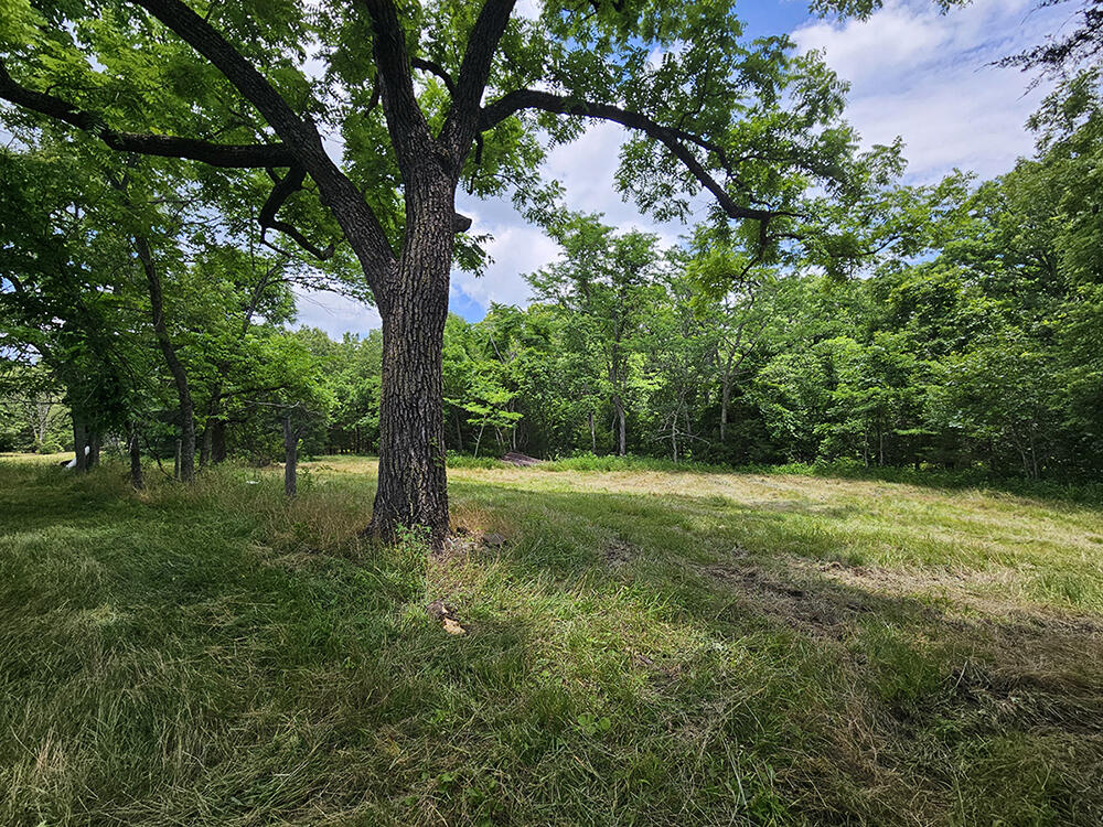 00 Forest Road 7989 Property Photo 26