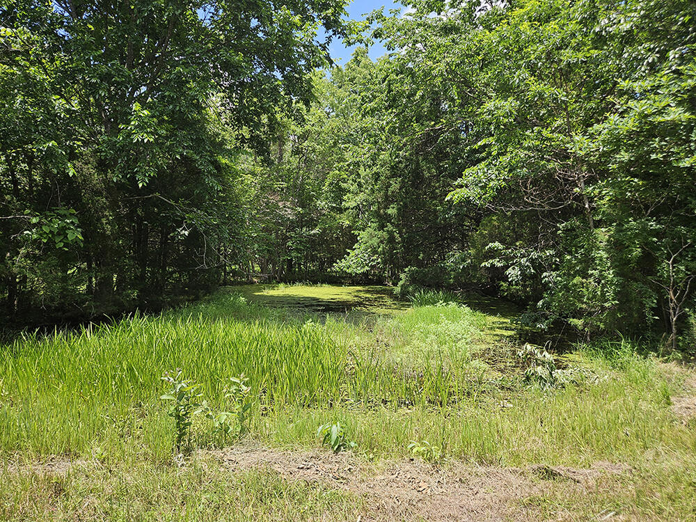 00 Forest Road 7989 Property Photo 27